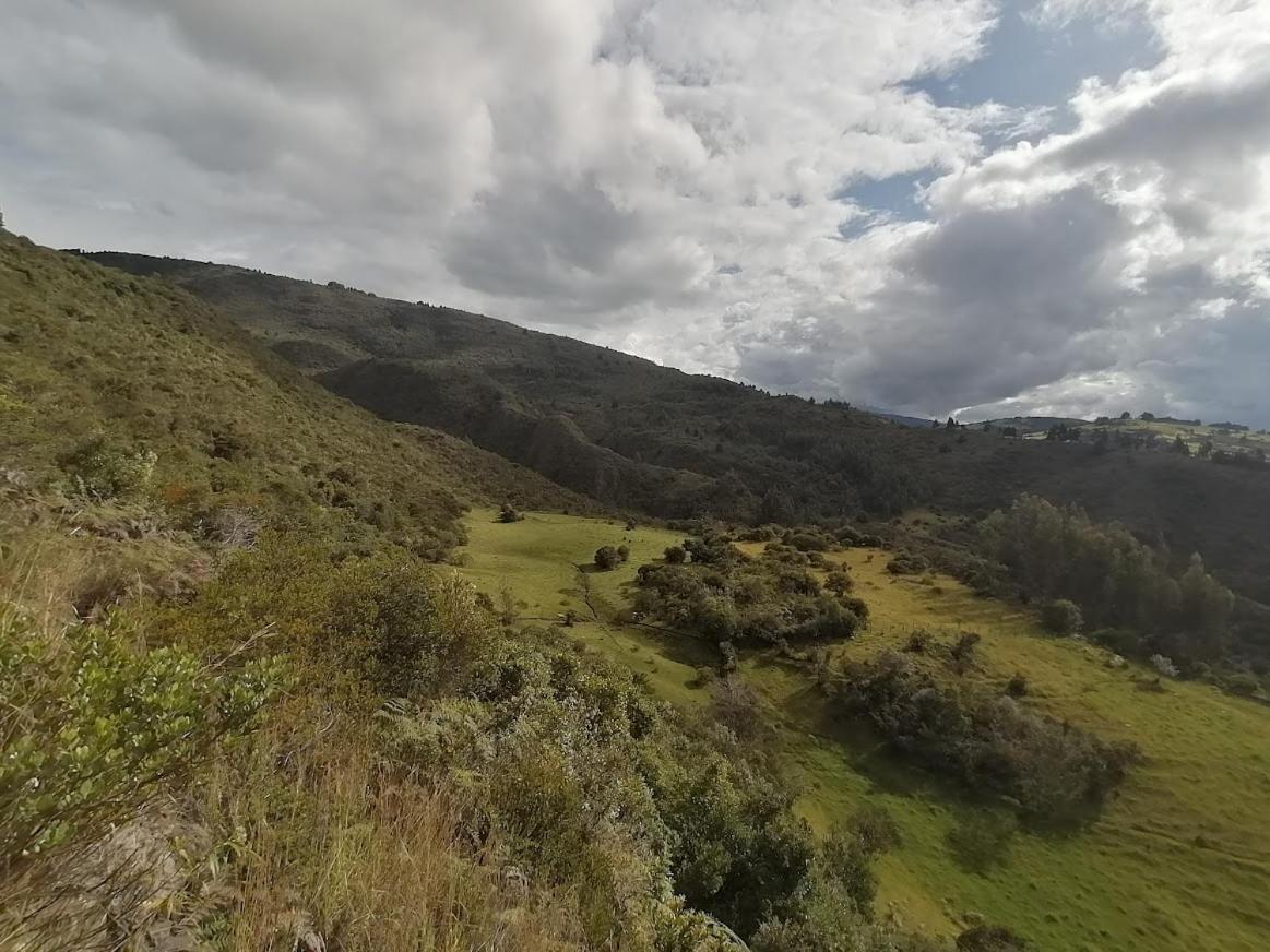 Finca La Aurora