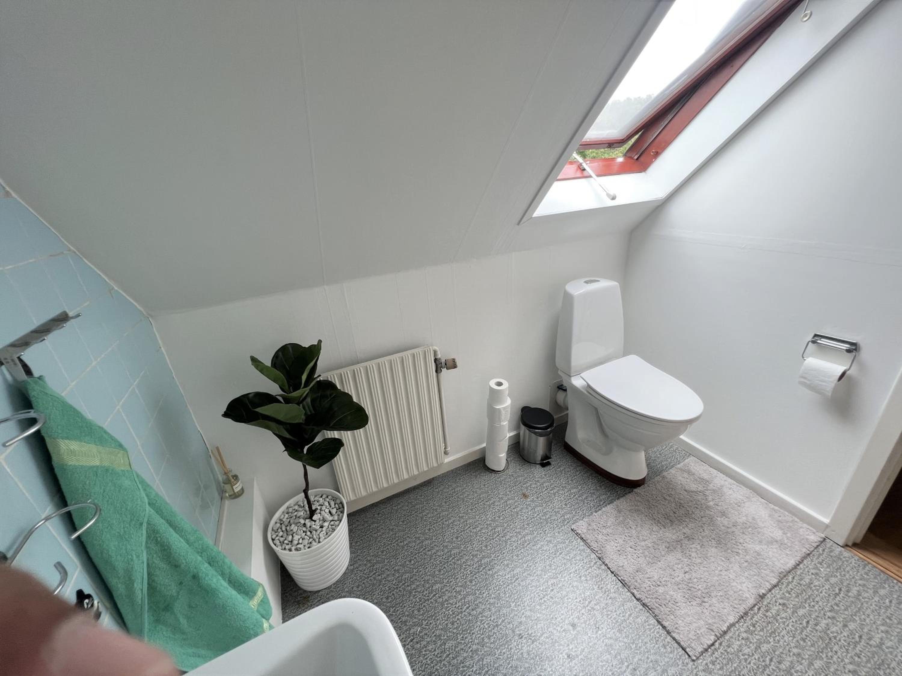 Photo 41