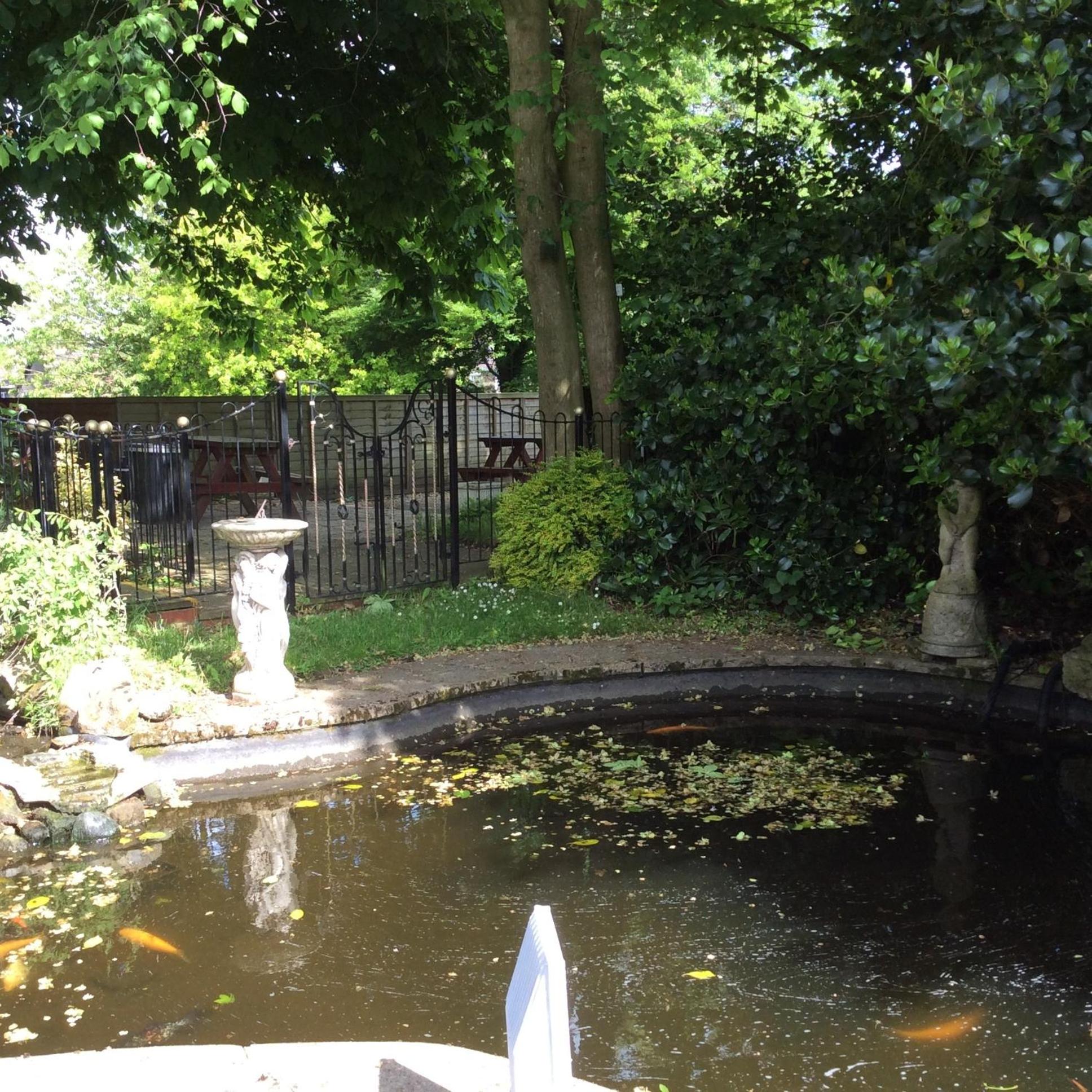 Photo 19