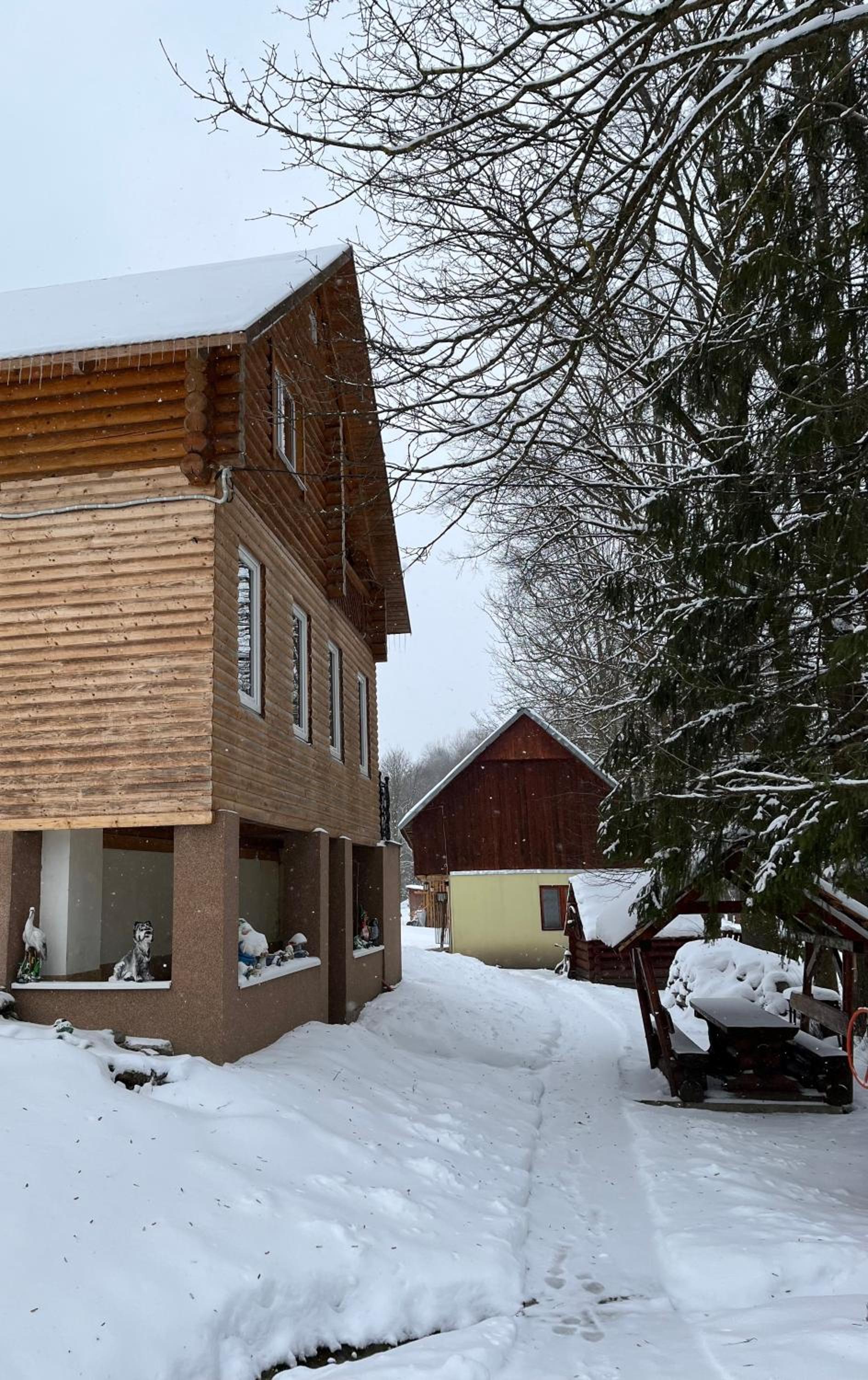 Beautiful house
