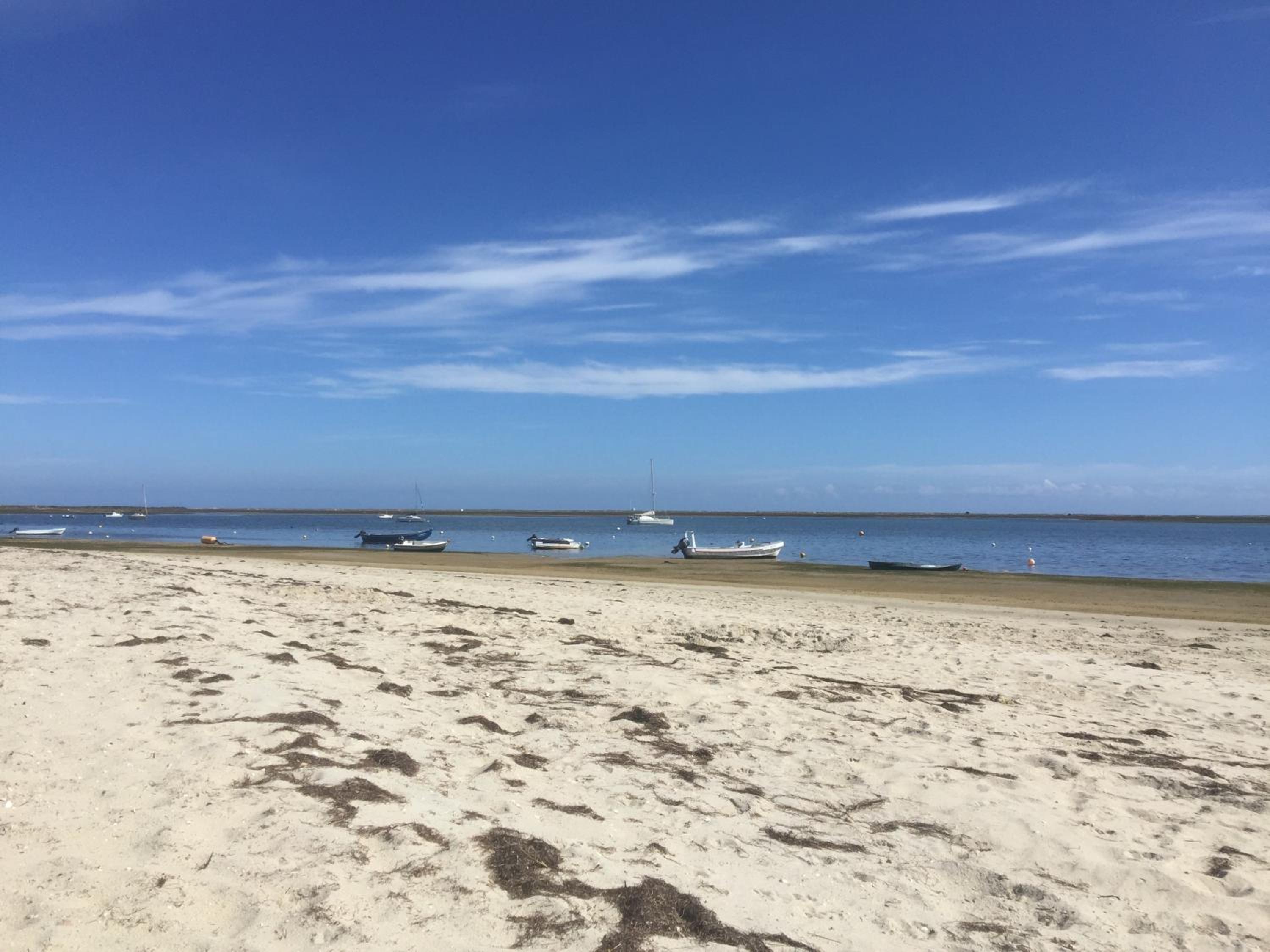 Apartamento Ritmo do Mar view 3