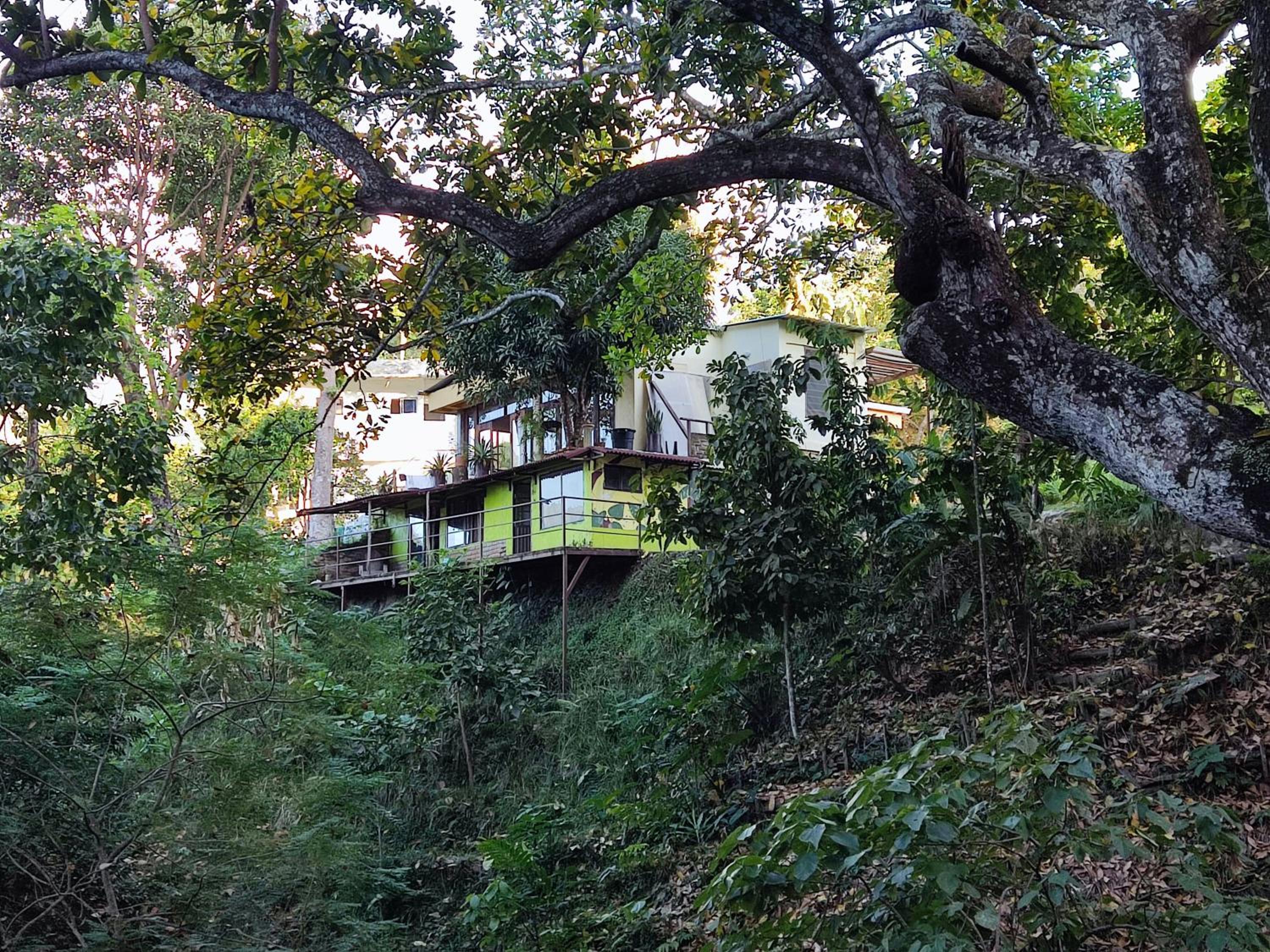 building