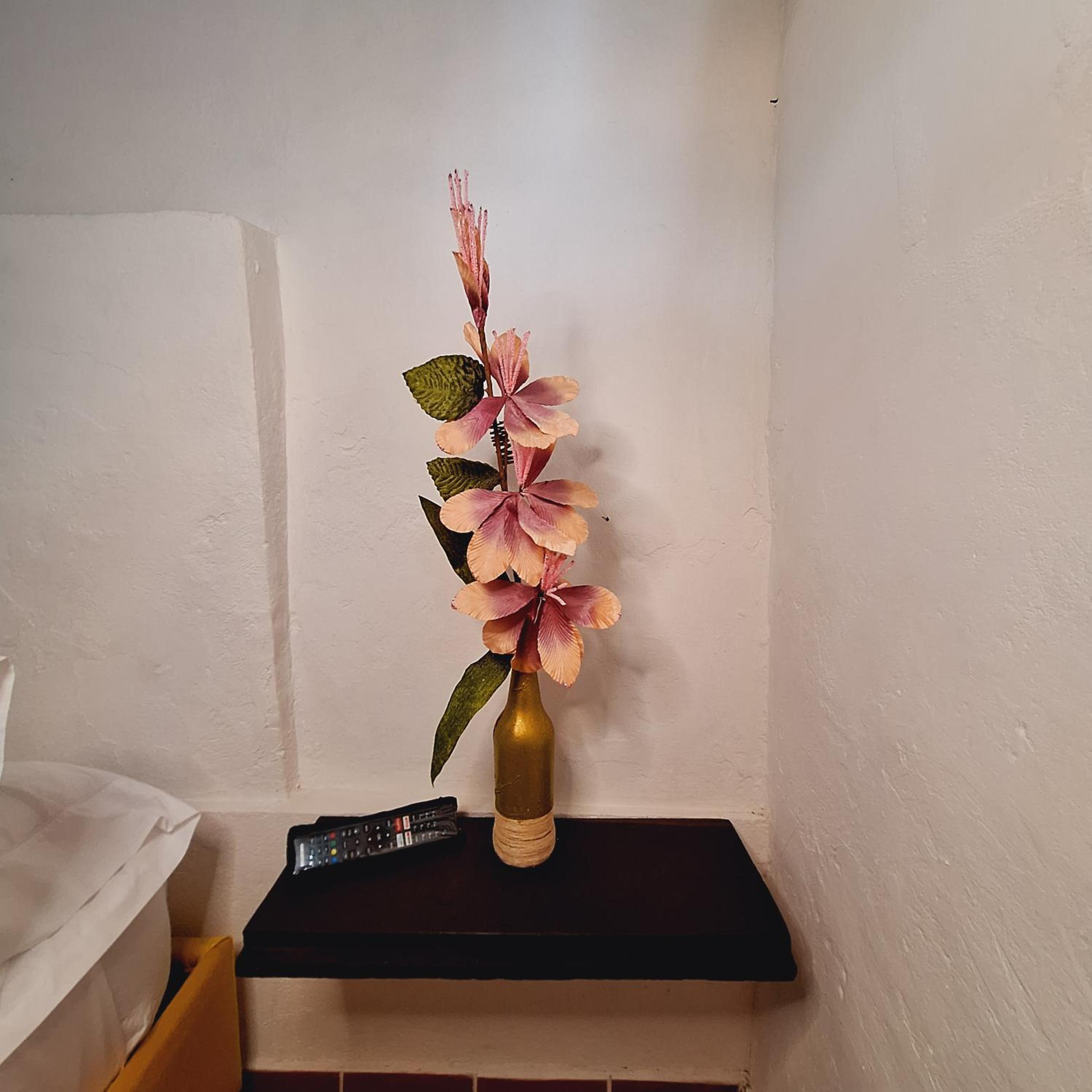 Hostal Colombian Gold