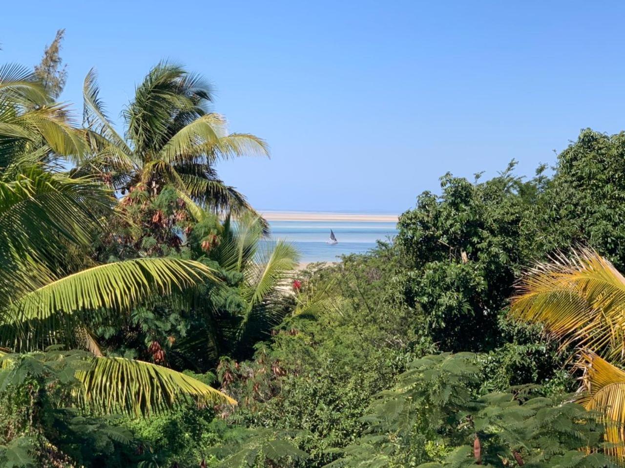CASA MOZITA view 3