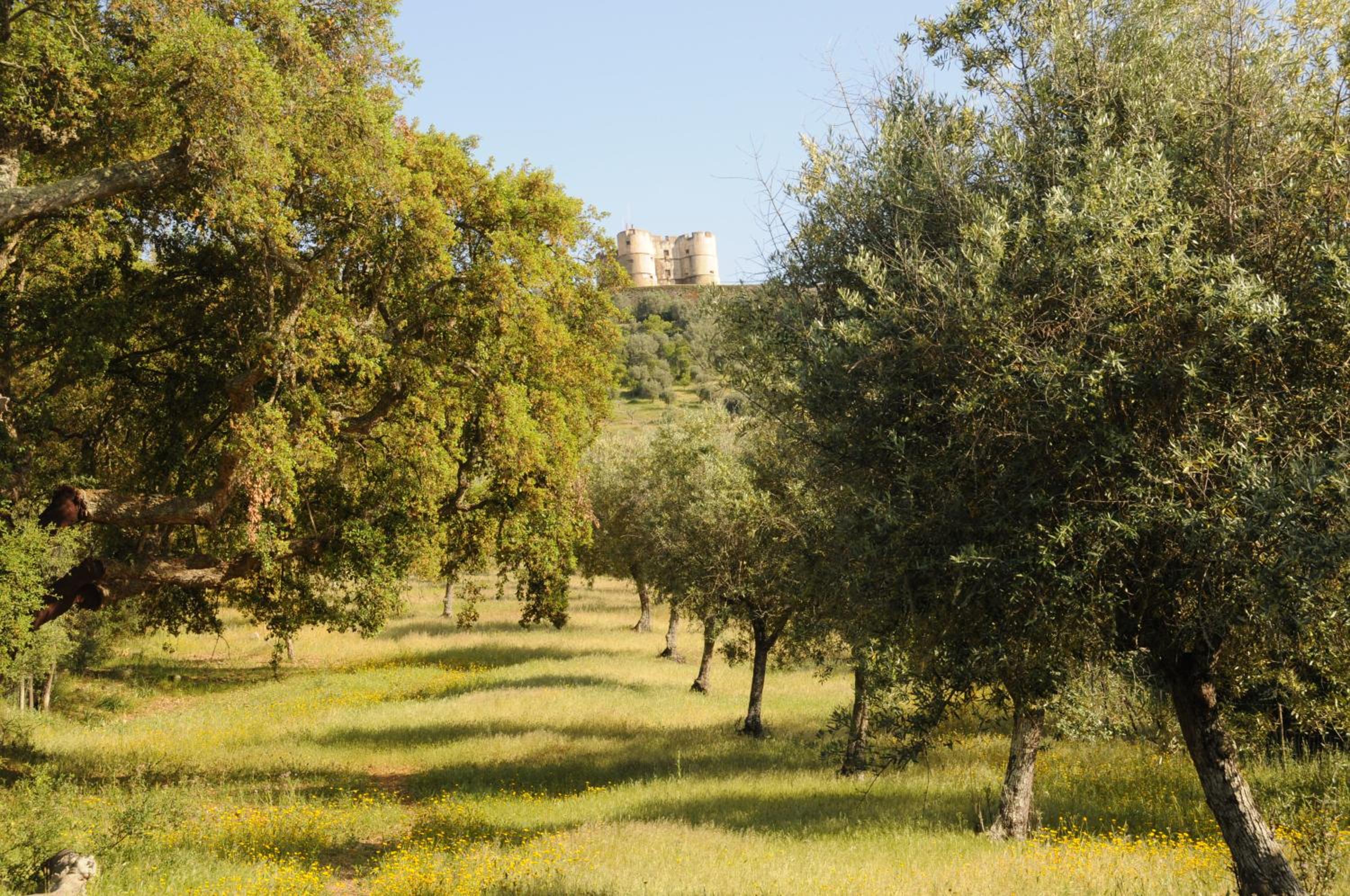 Quinta de Evoramonte