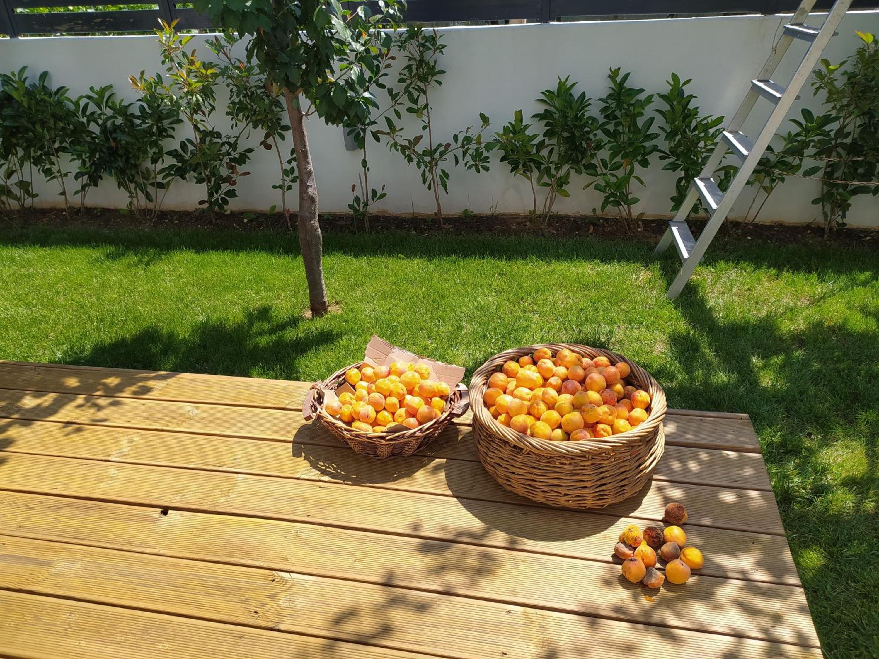 Marena B&B