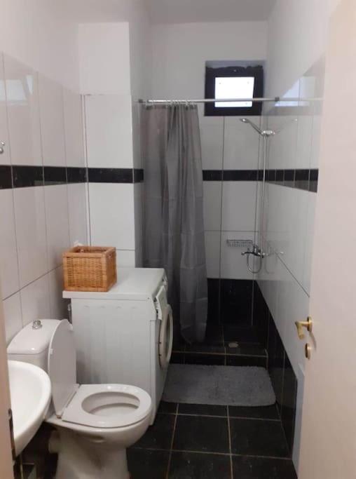Ierapetra mint apartment