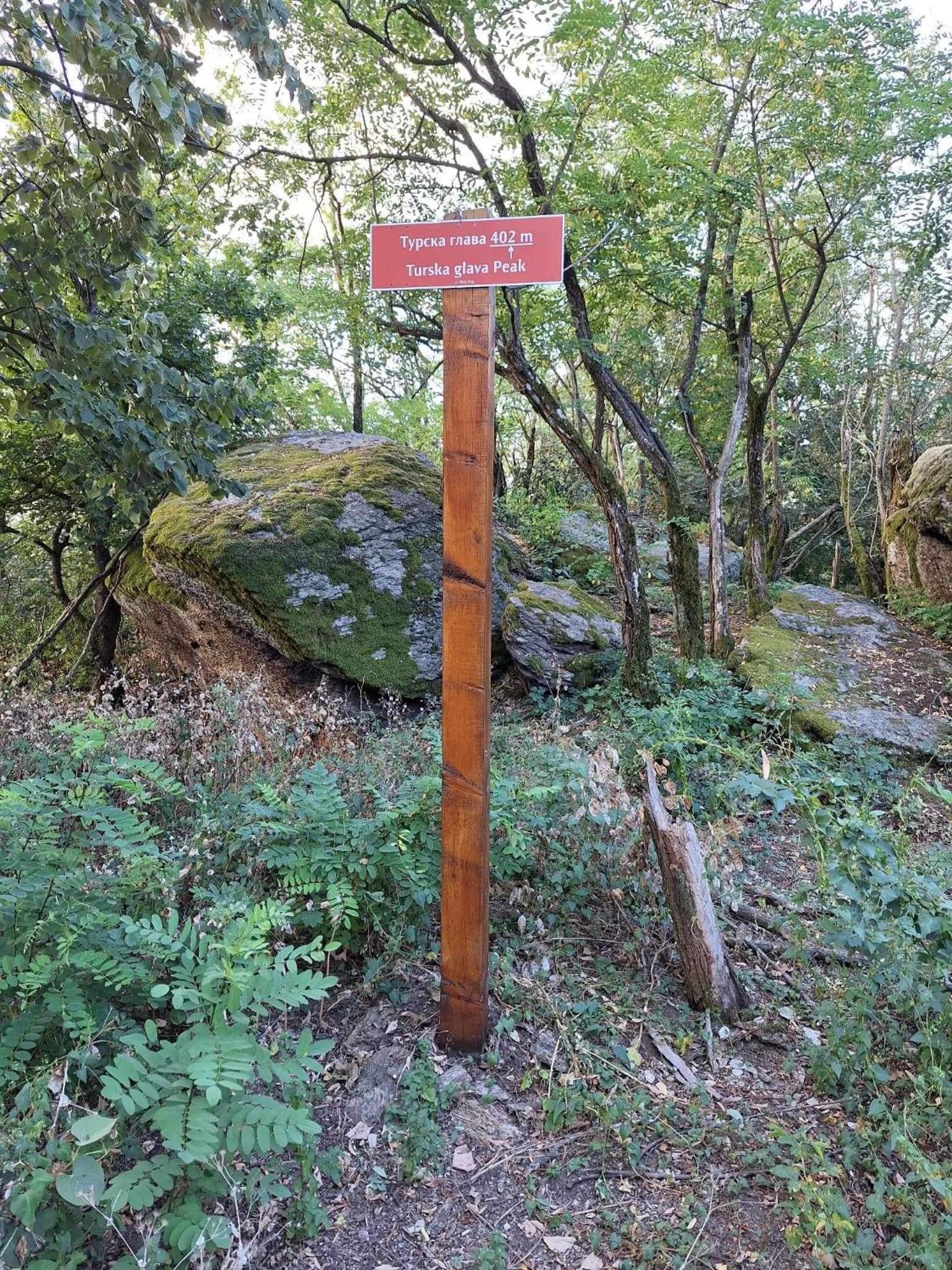 Photo 48