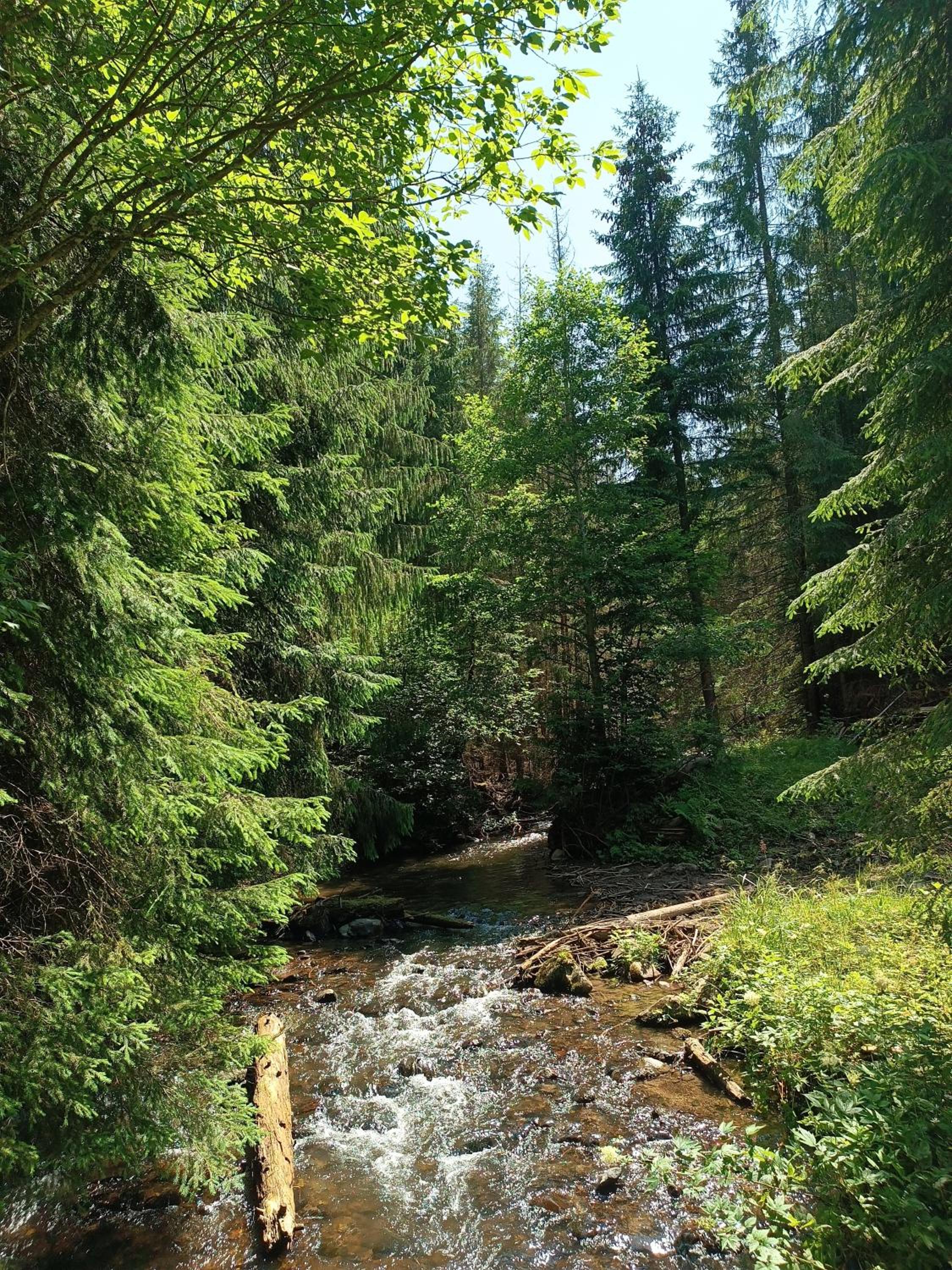 Photo 27