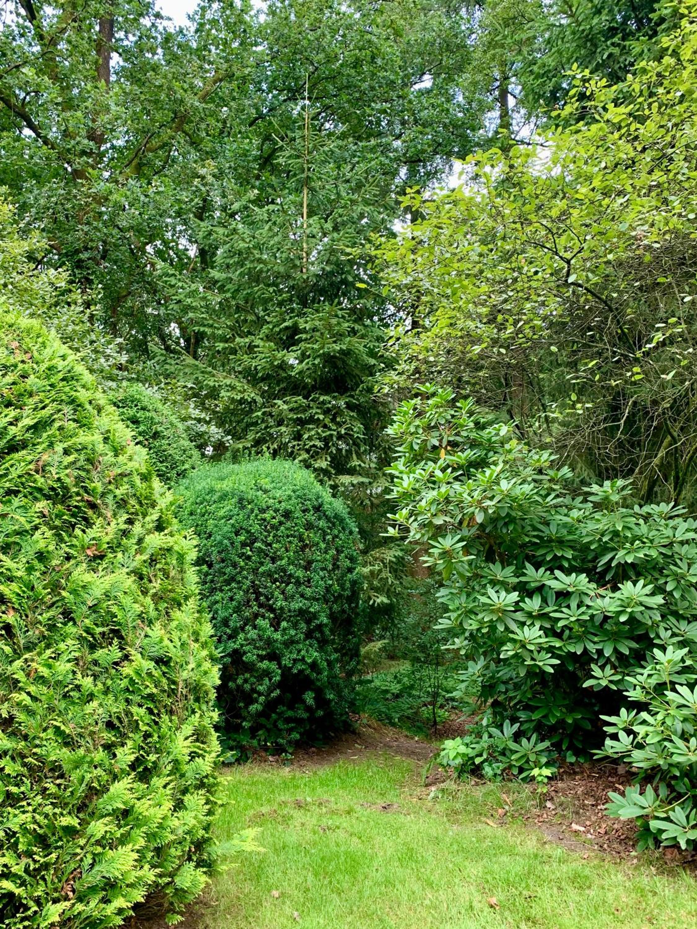 Photo 41