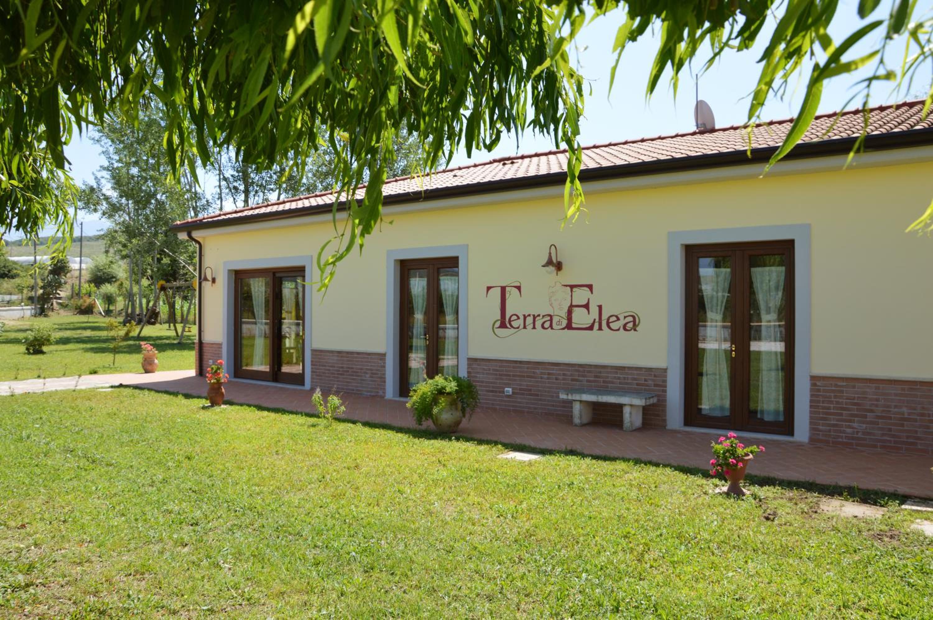 Agriturismo Terra Di Elea azienda agricola di Raimondo MIchela