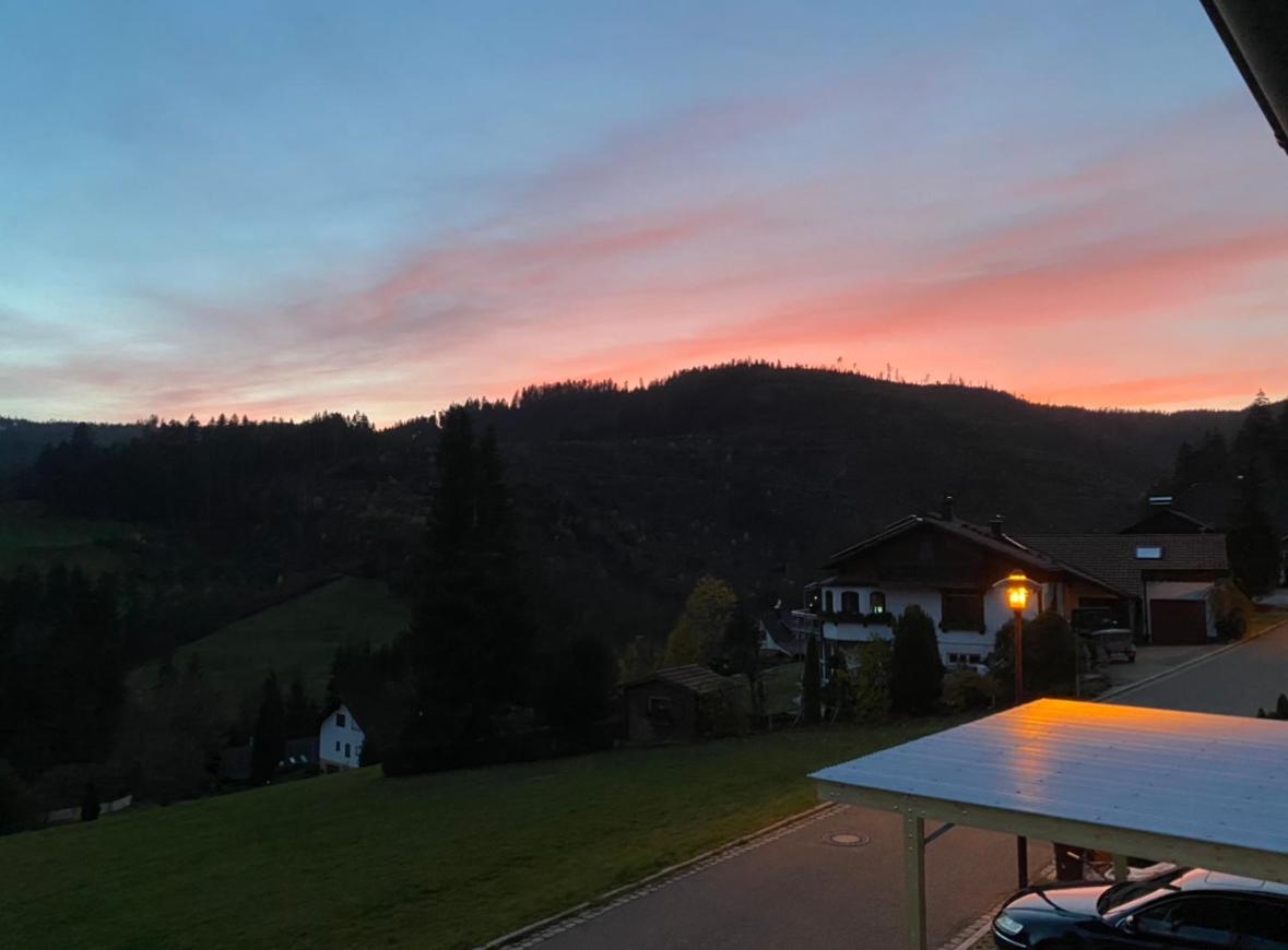 Photo 46