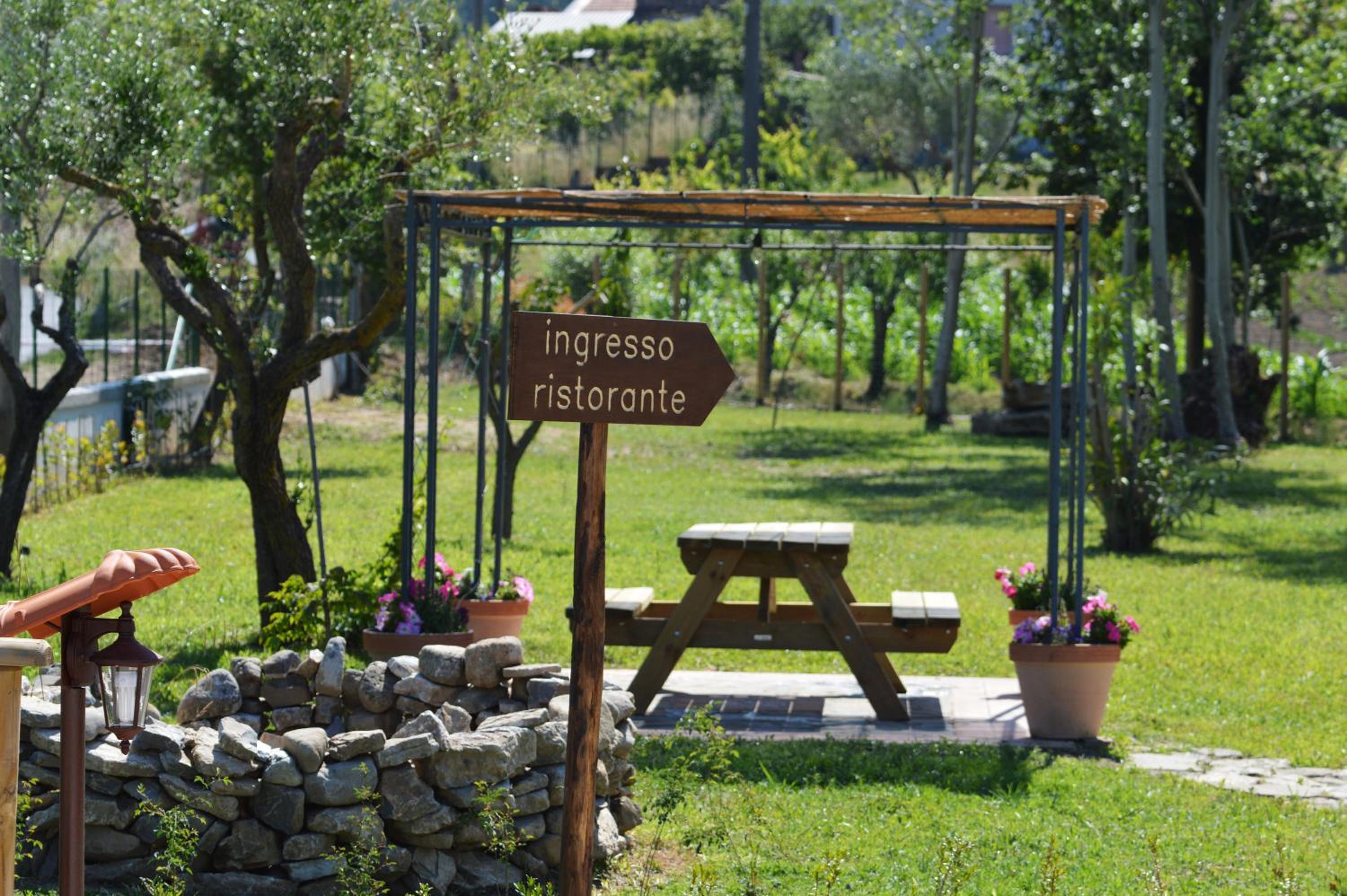 Agriturismo Terra Di Elea azienda agricola di Raimondo MIchela