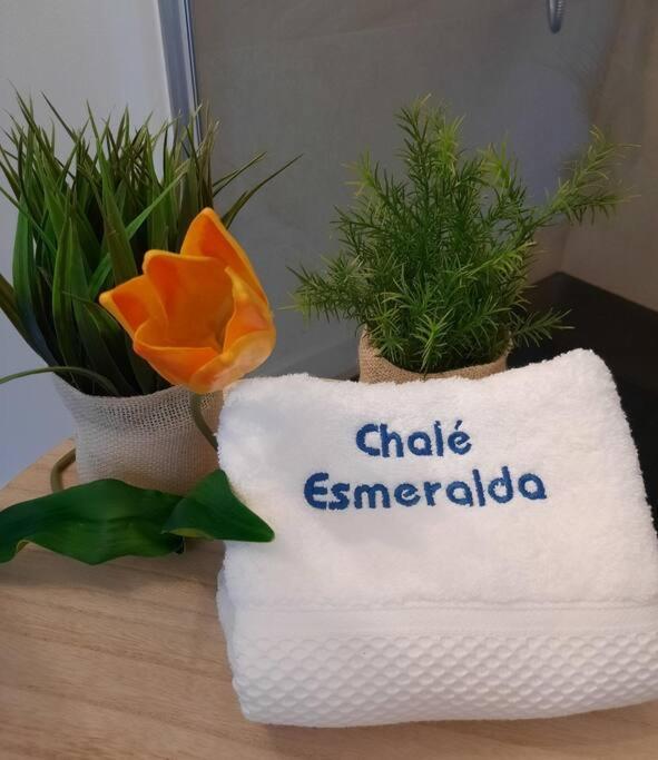 Chalé Esmeralda - Charming Studios in Calheta Beach