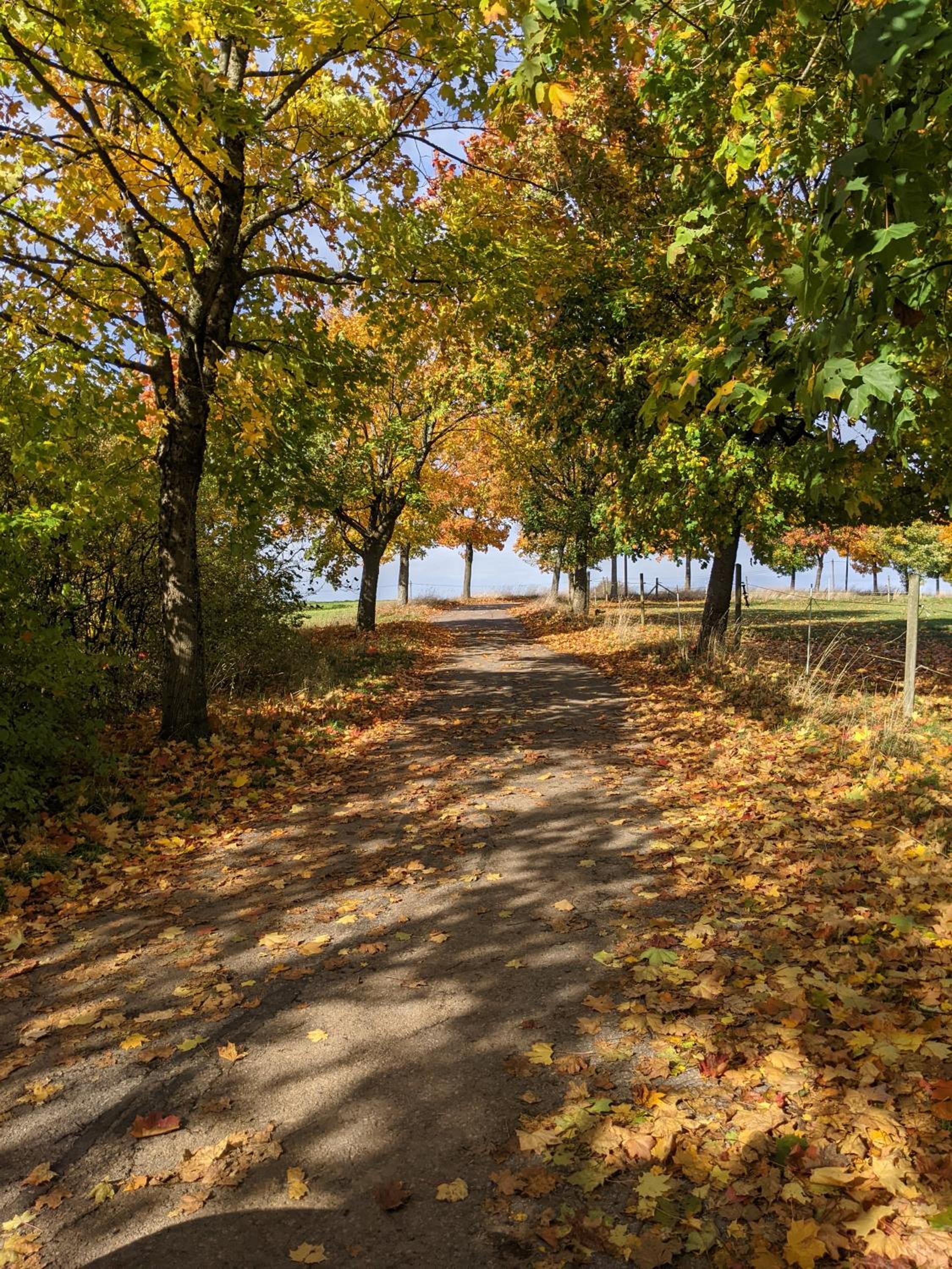 Auszeit Altenhorst, Gartenferienwohnung