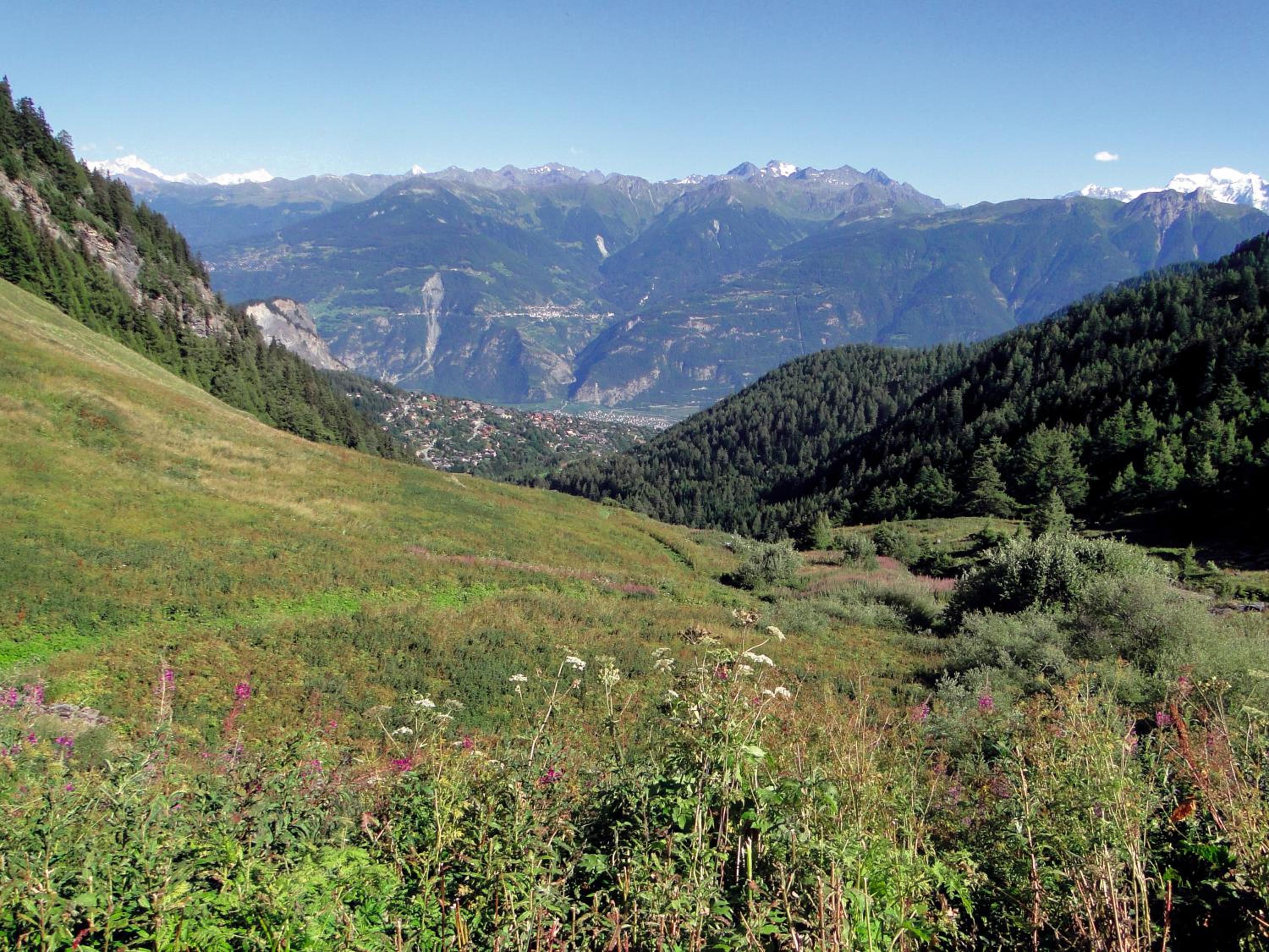 Studio avec Accès aux Thermes d'Ovronnaz