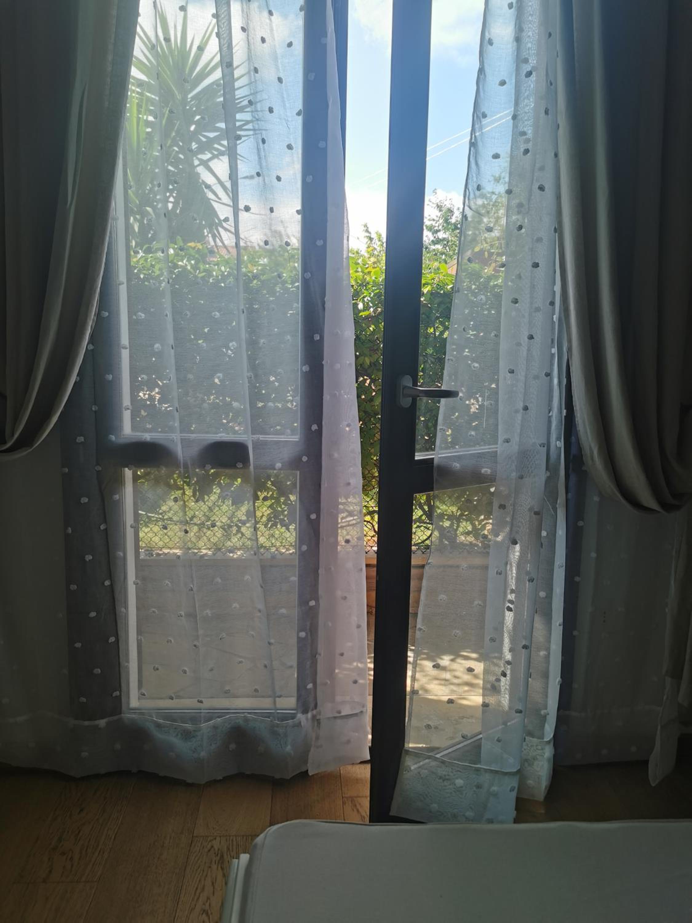 Il gelsomino photo 3