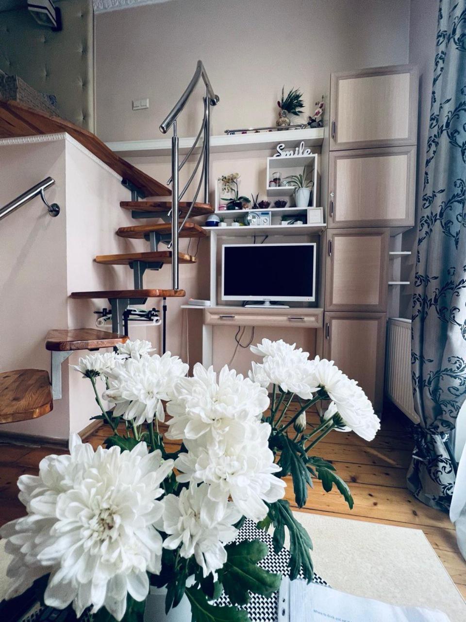 Apartment in the city center mini view 2