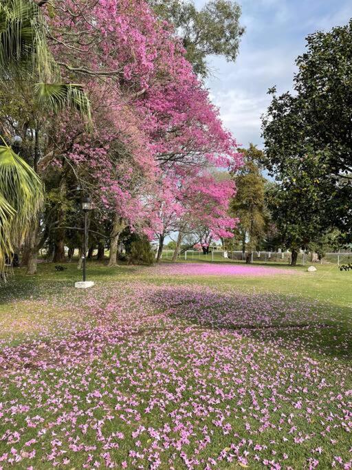 Quinta Las Amintas
