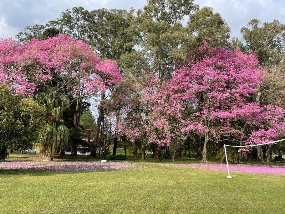 Quinta Las Amintas