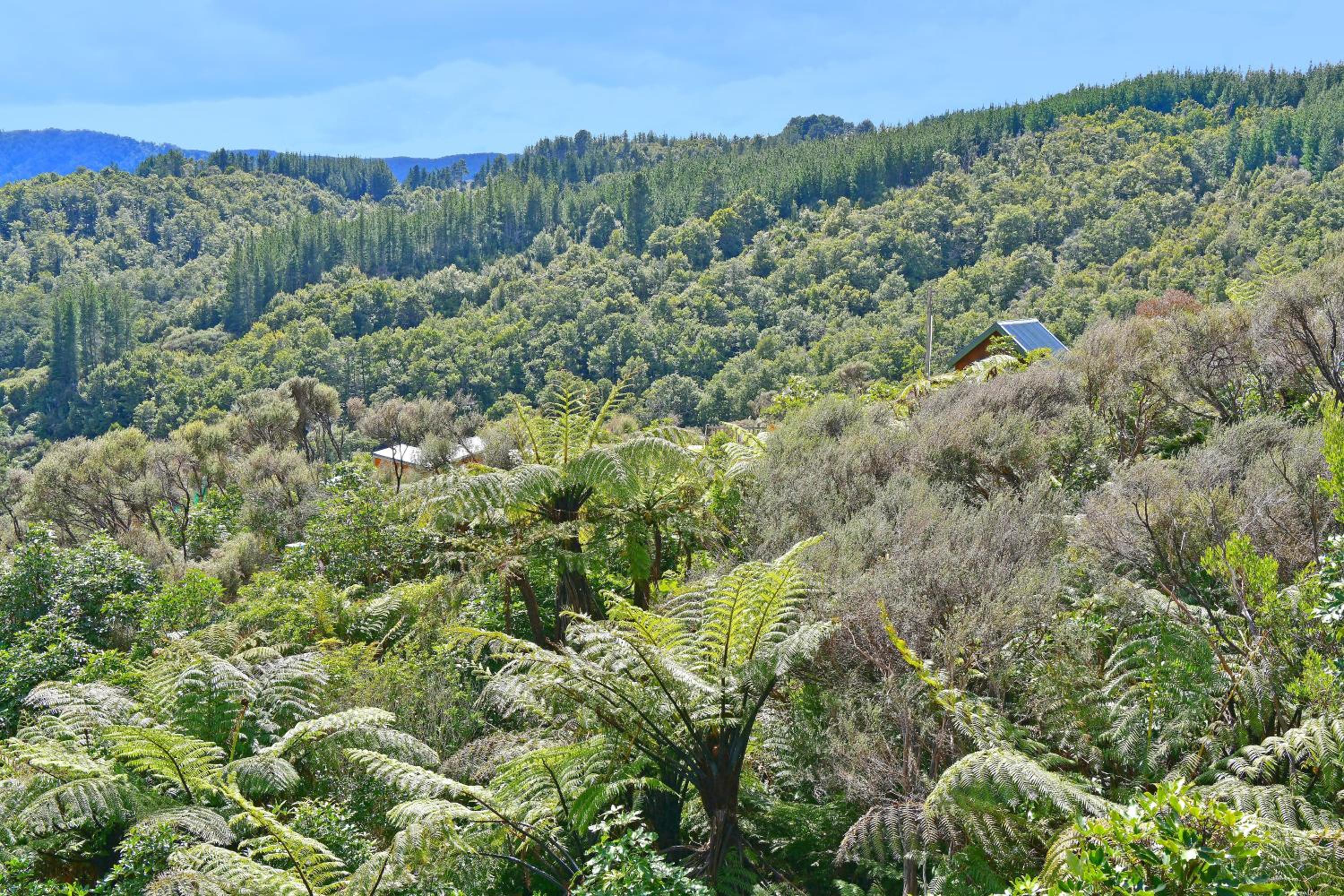Remutaka retreat