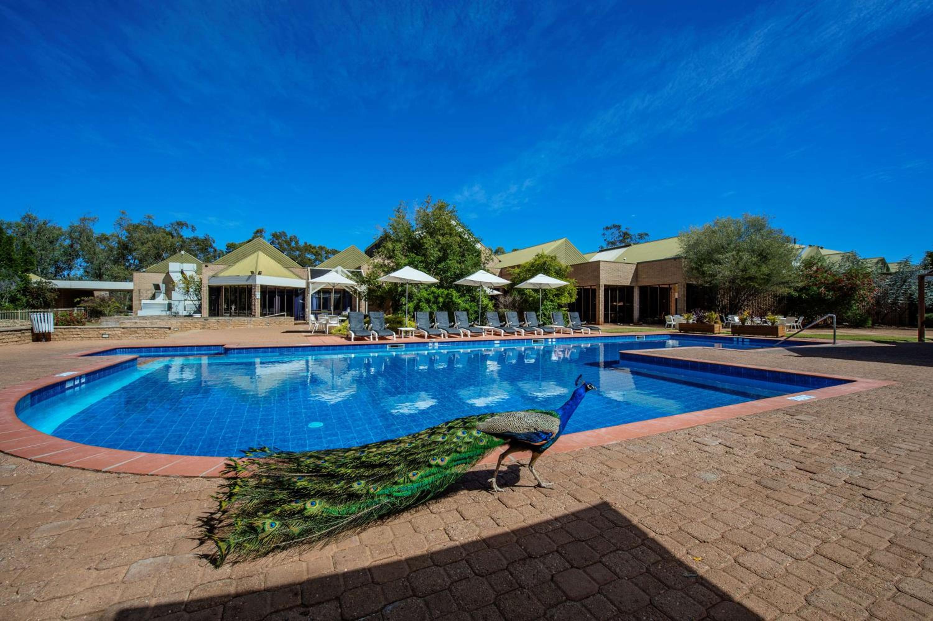Alice Springs Vacations - DoubleTree by Hilton Alice Springs - Property Image 4