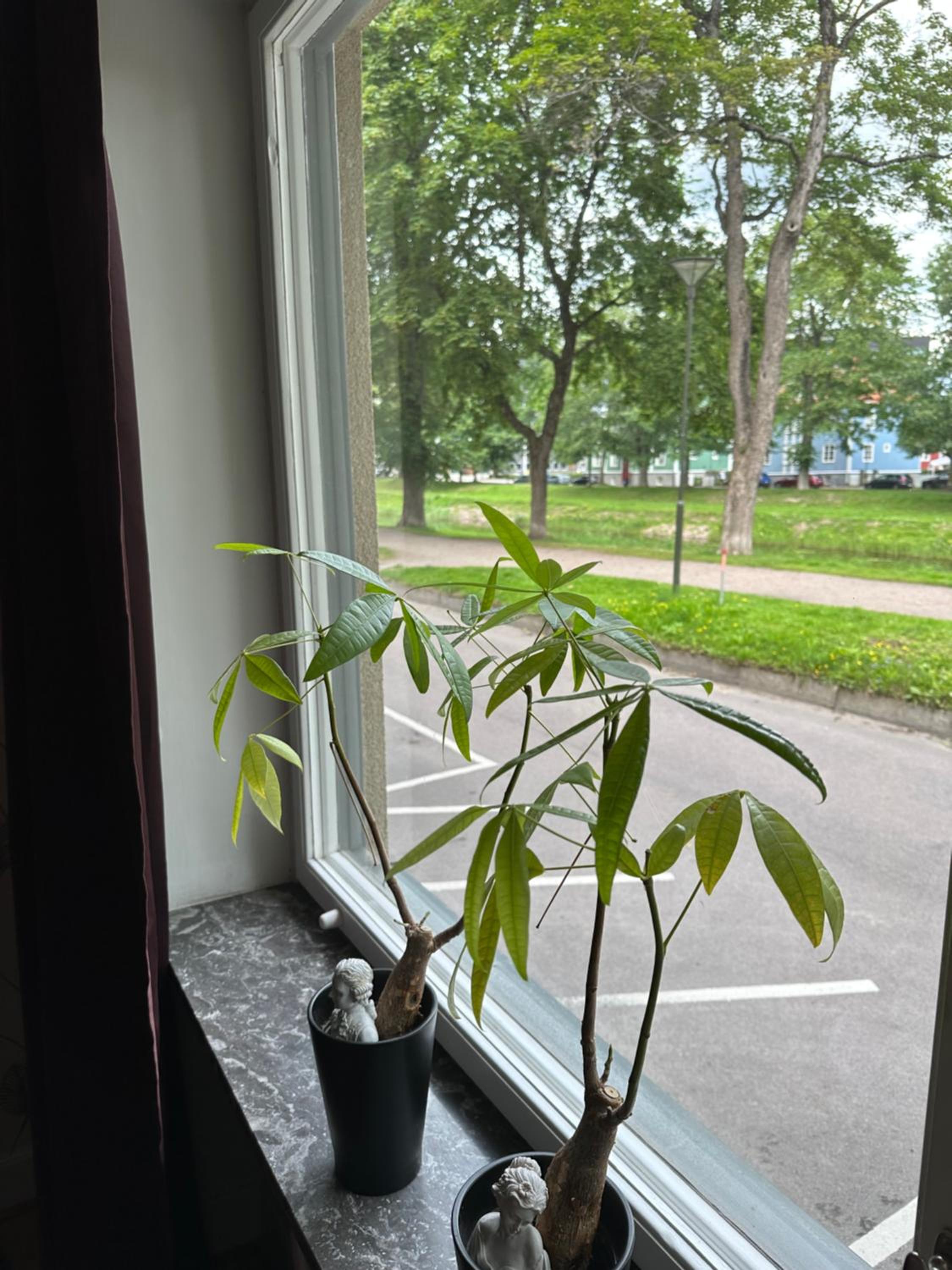 Photo 42