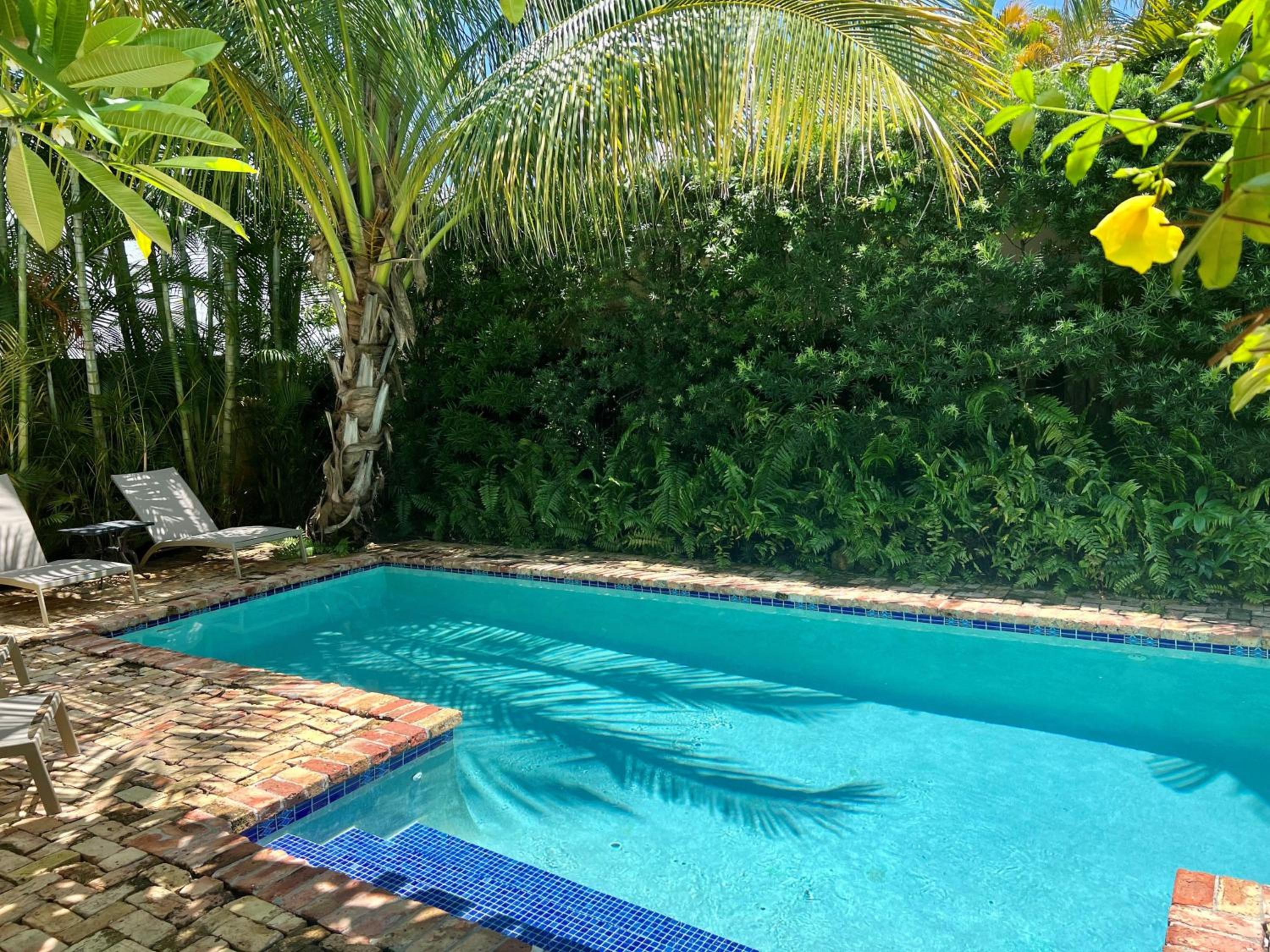 Casa Paradiso - A Sun Drenched Escape with Poolside Cabana Charm