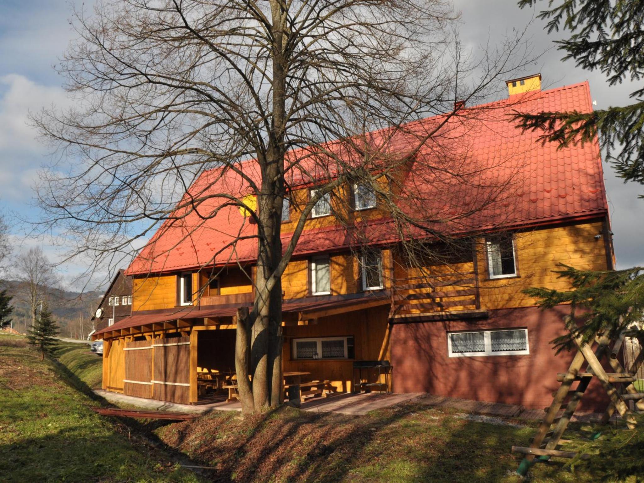 Photo 46