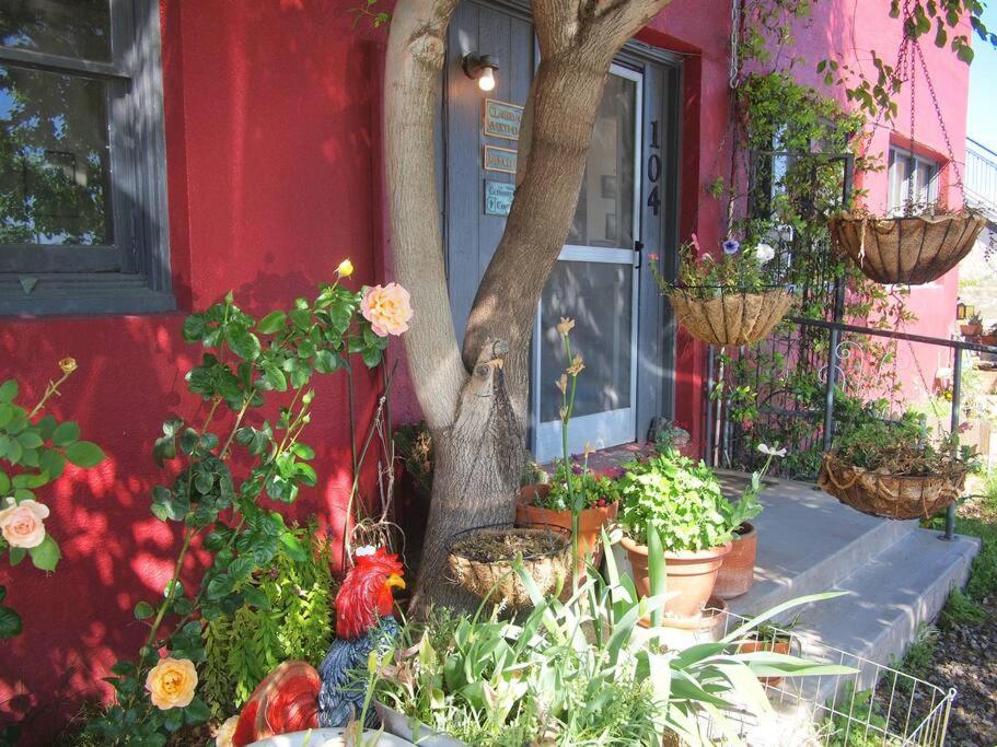 Photo 7