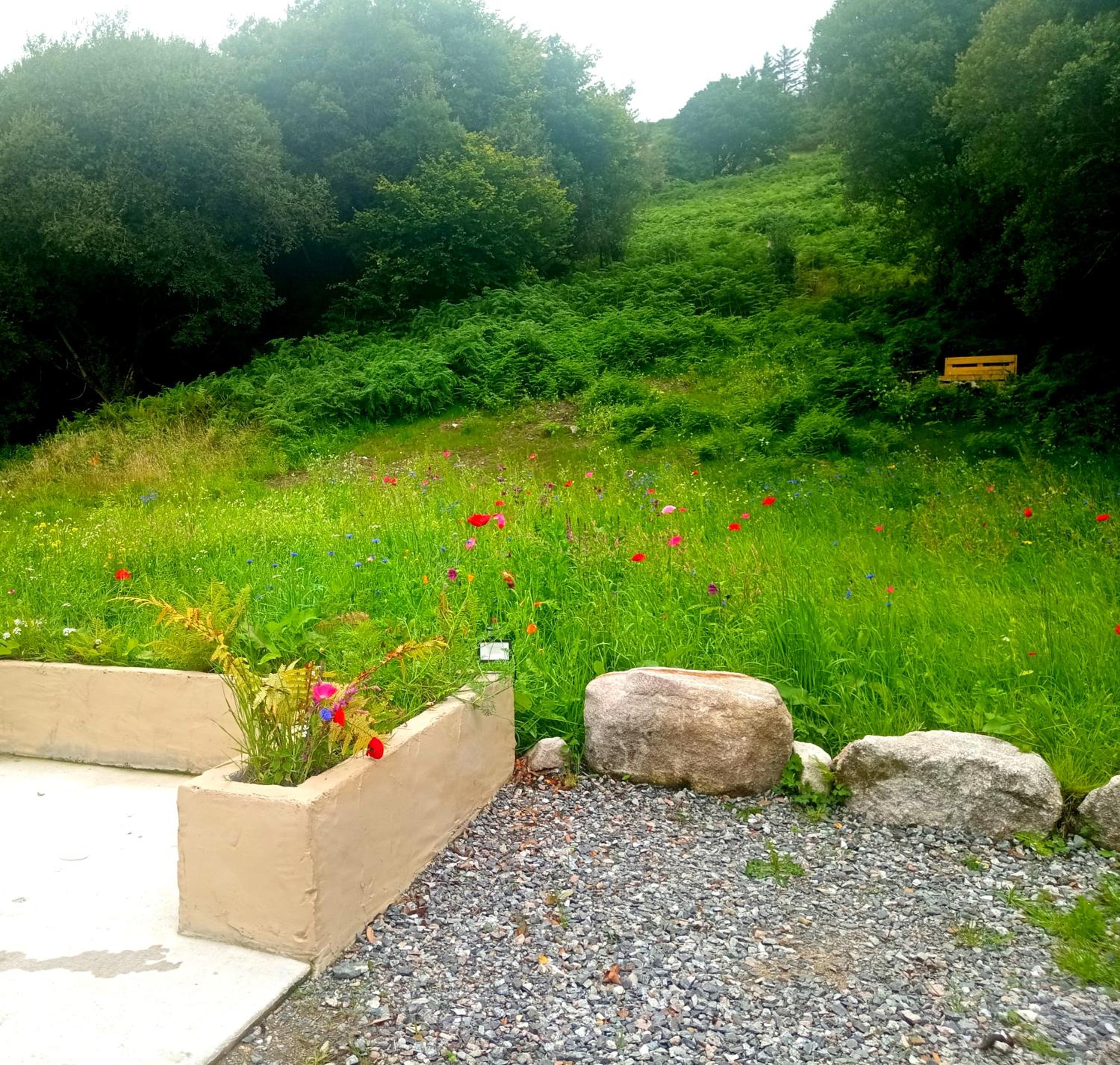 Donegal cottage