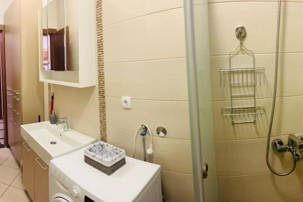 Royal Apartment Belgrade view 2
