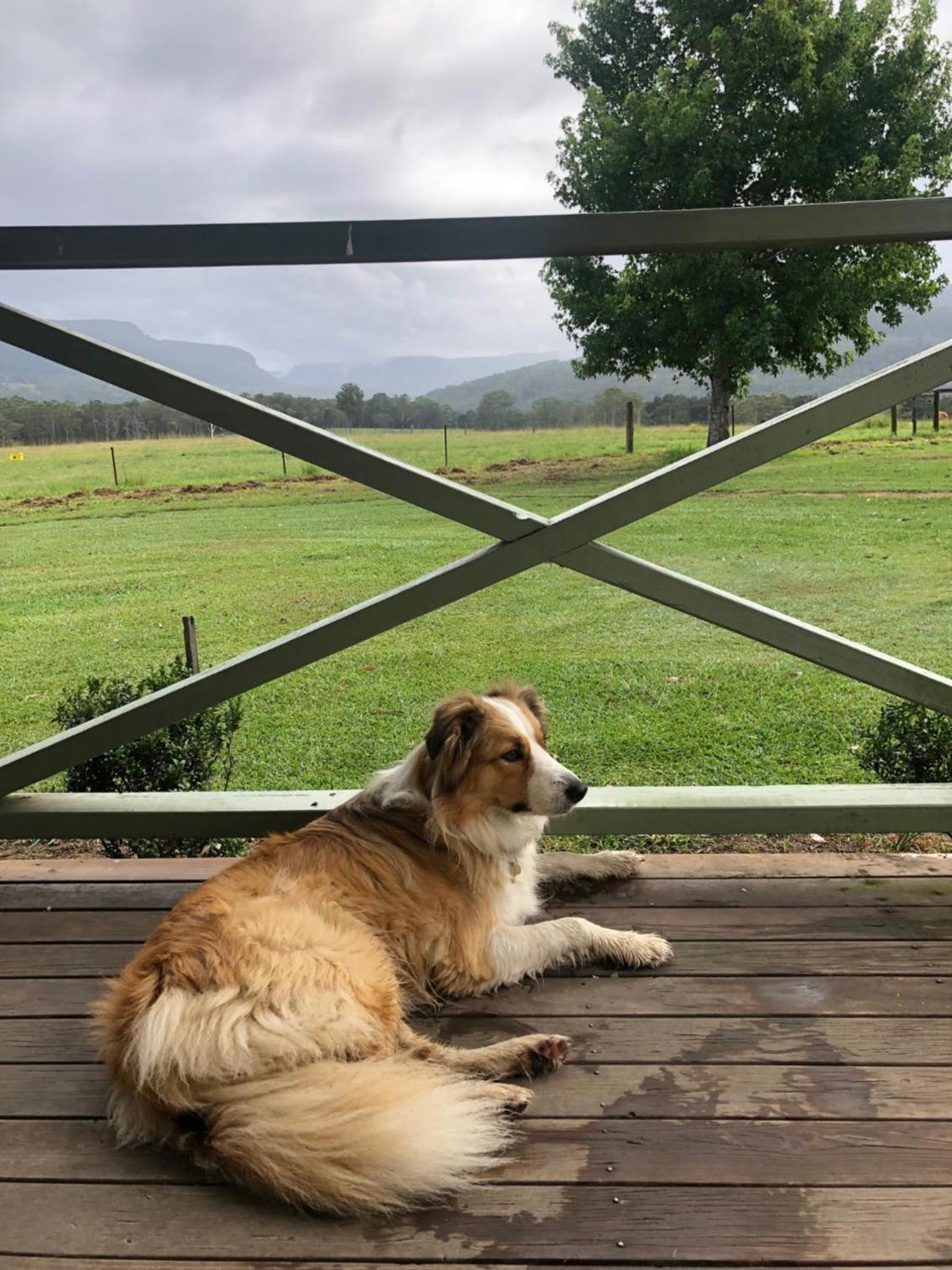 The Big Bell Farm