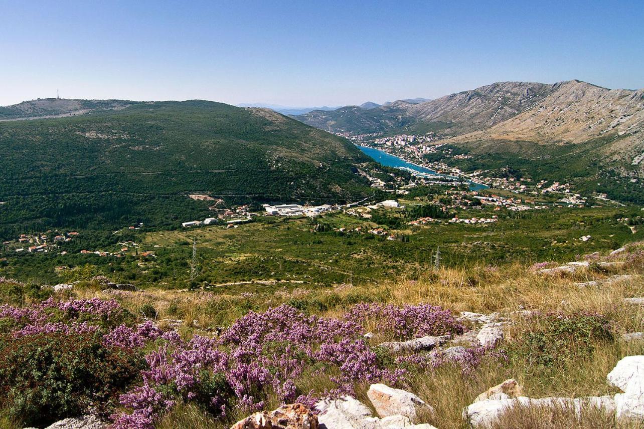 Luxury Villa Lule with private pool near Dubrovnik