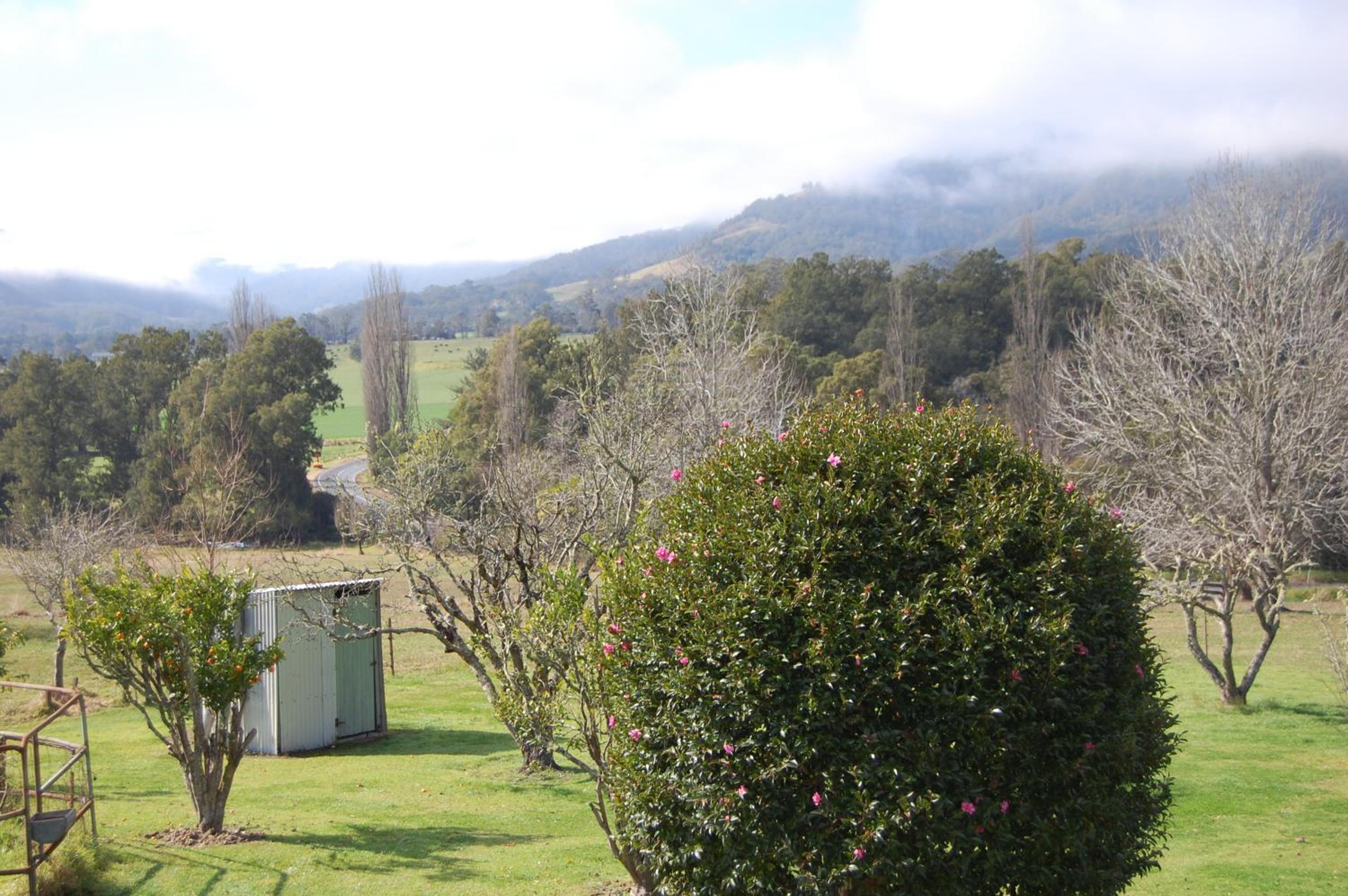 The Big Bell Farm