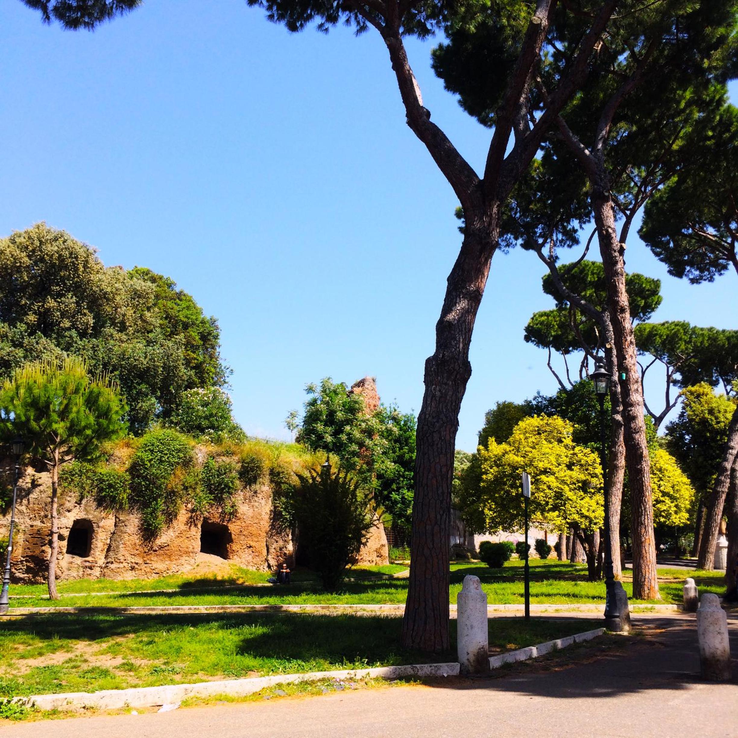 MICLAD Colosseum Guest House