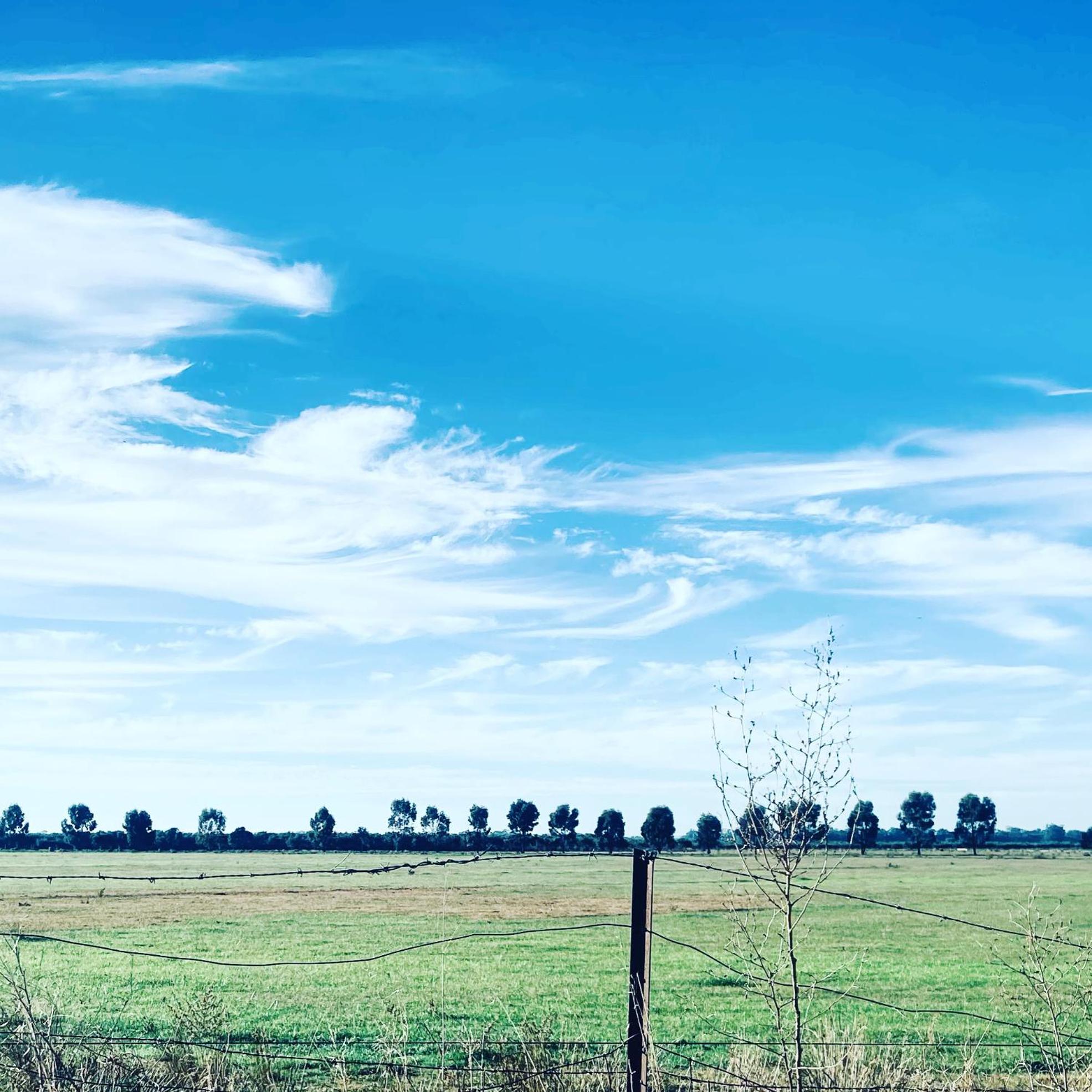 Wings Field - relaxing family farm stay