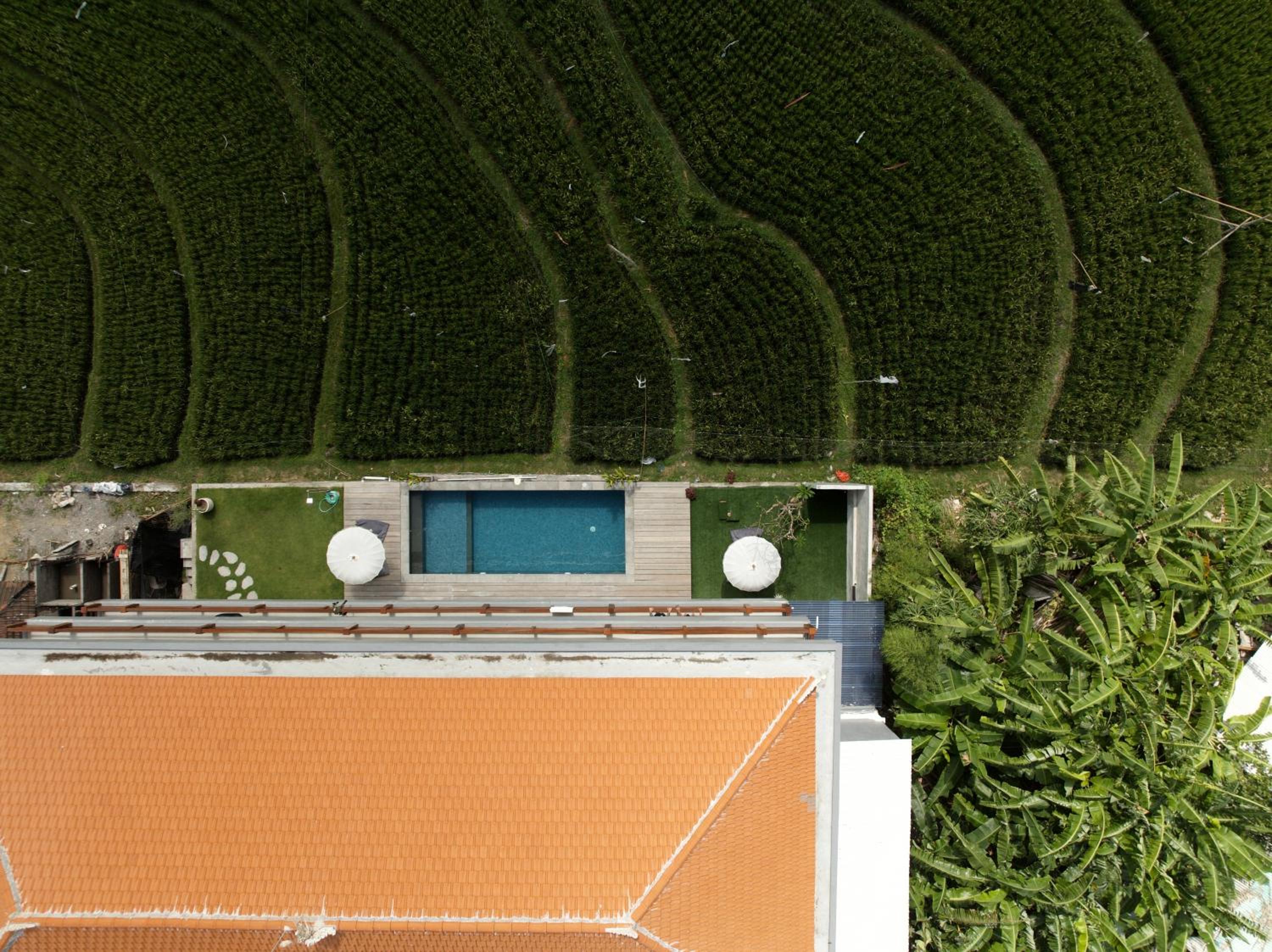 Backyard Canggu