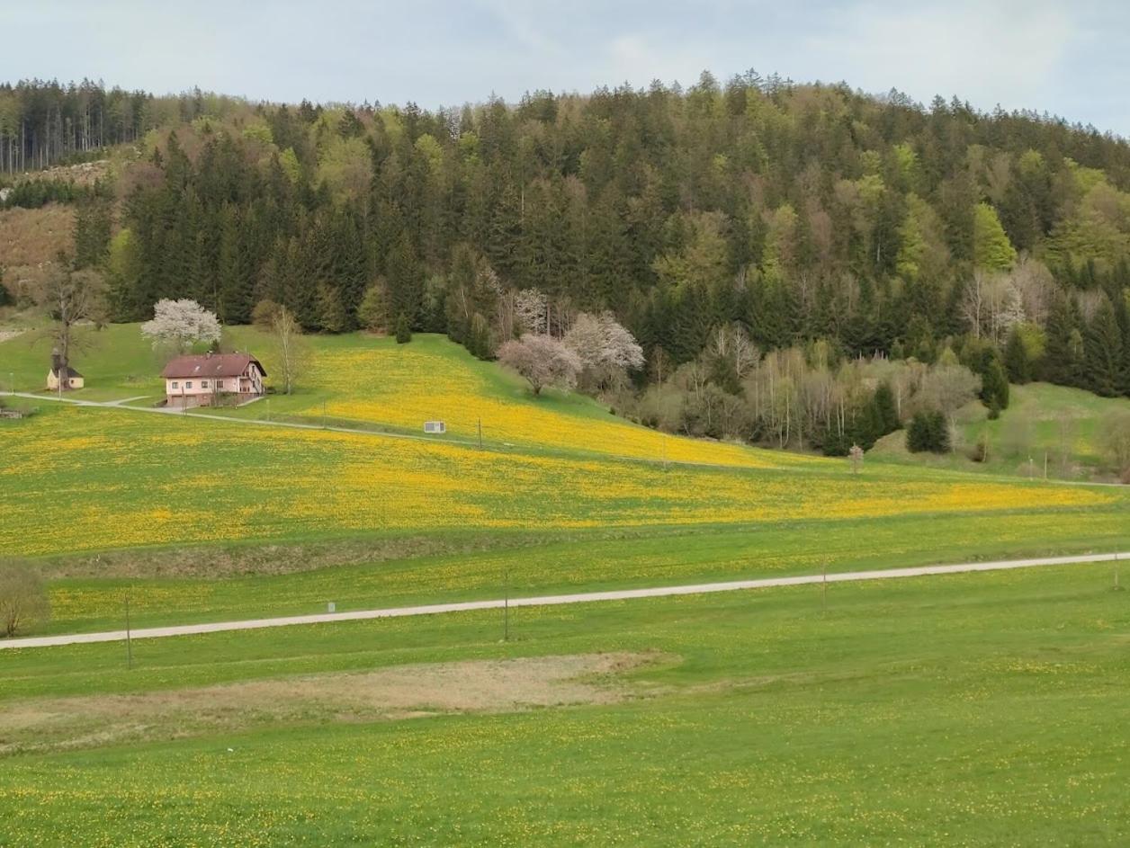 Ferienhaus Schöller view 3