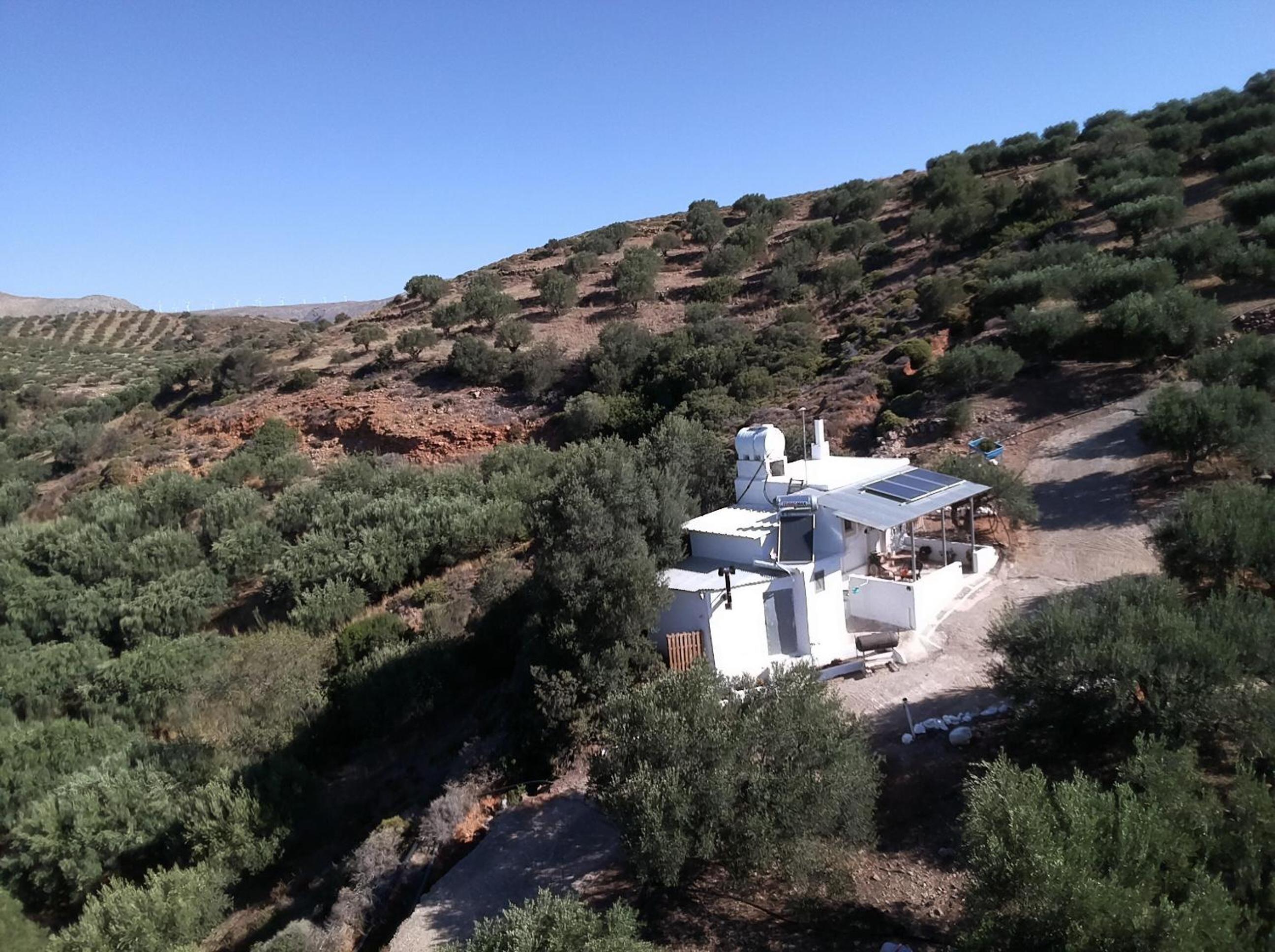 Olive metohi return to nature view 4