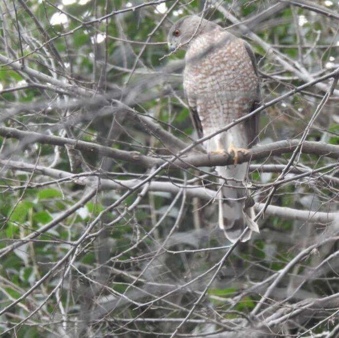 Eagle's Grotto - Quiet 5 Acre Riverside Retreat on Llano River view 4