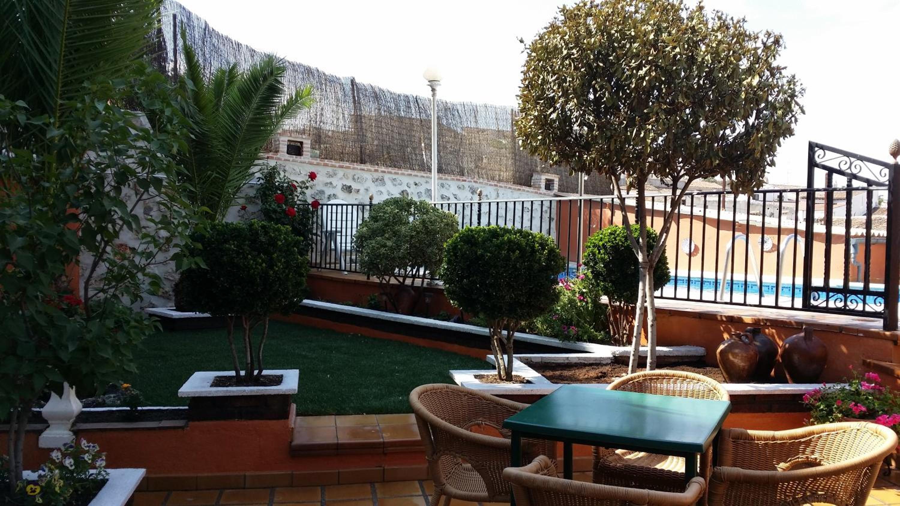 Photo 6