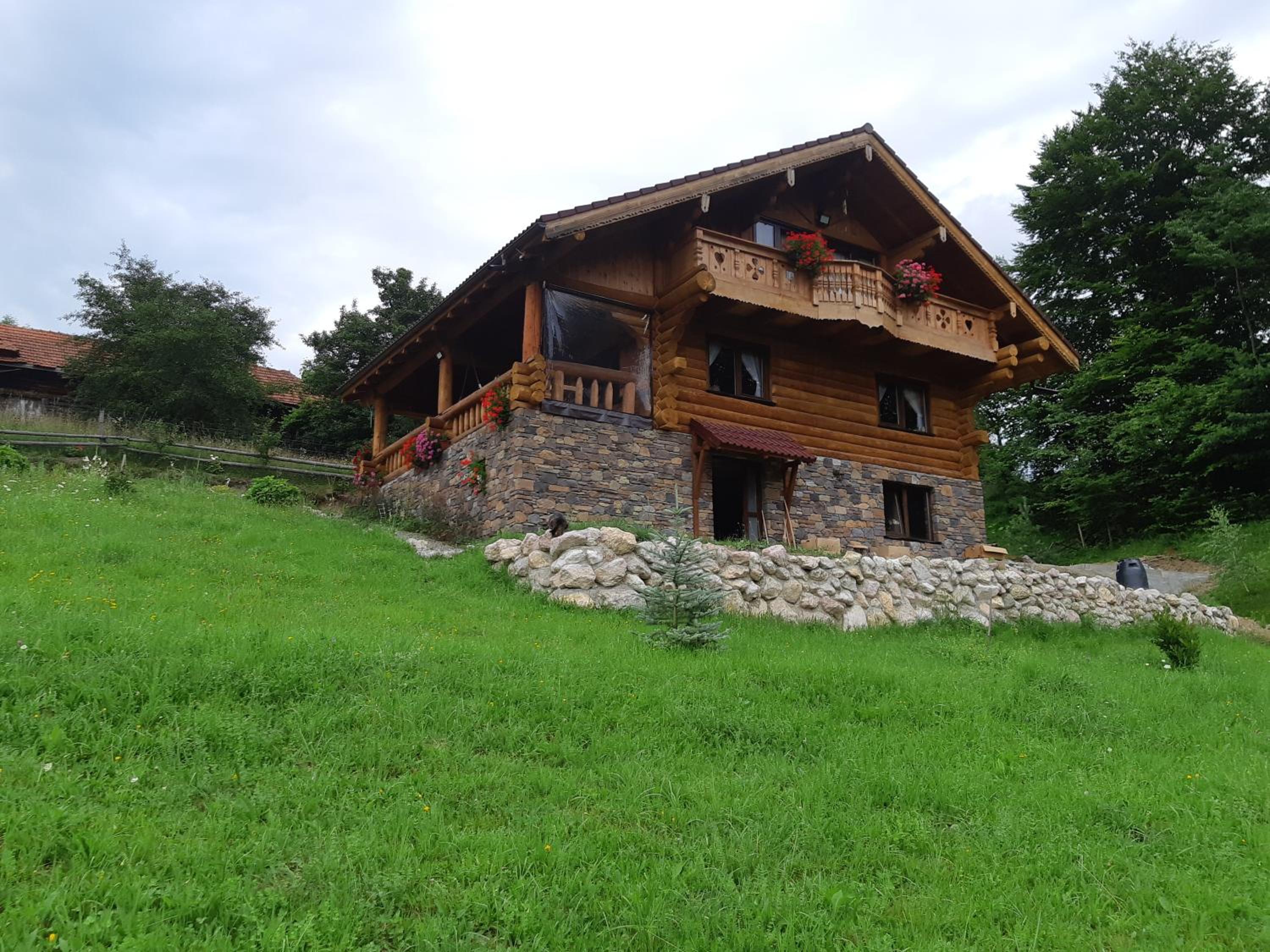 Photo 6