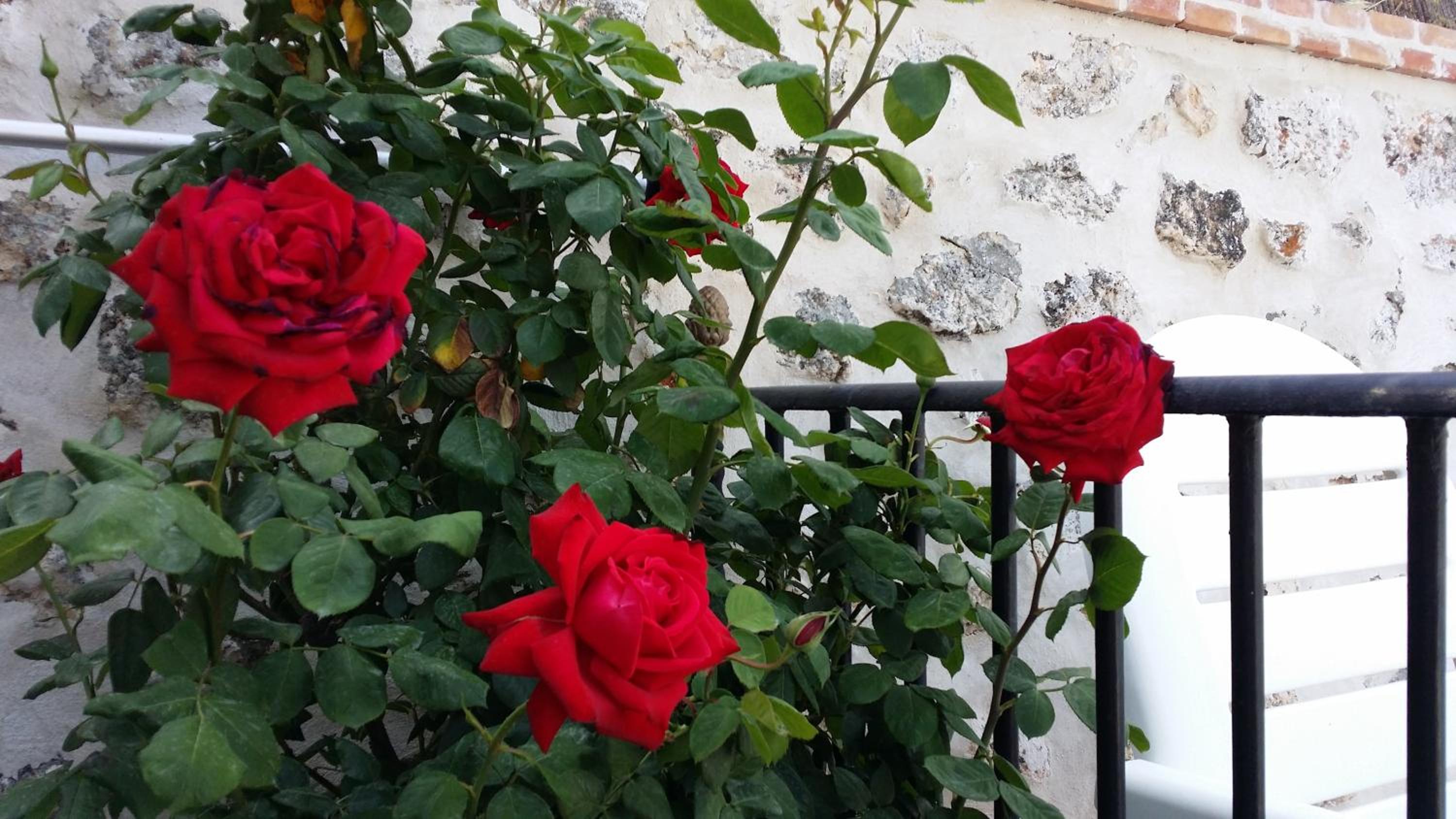 Hostal Chinchon view 4