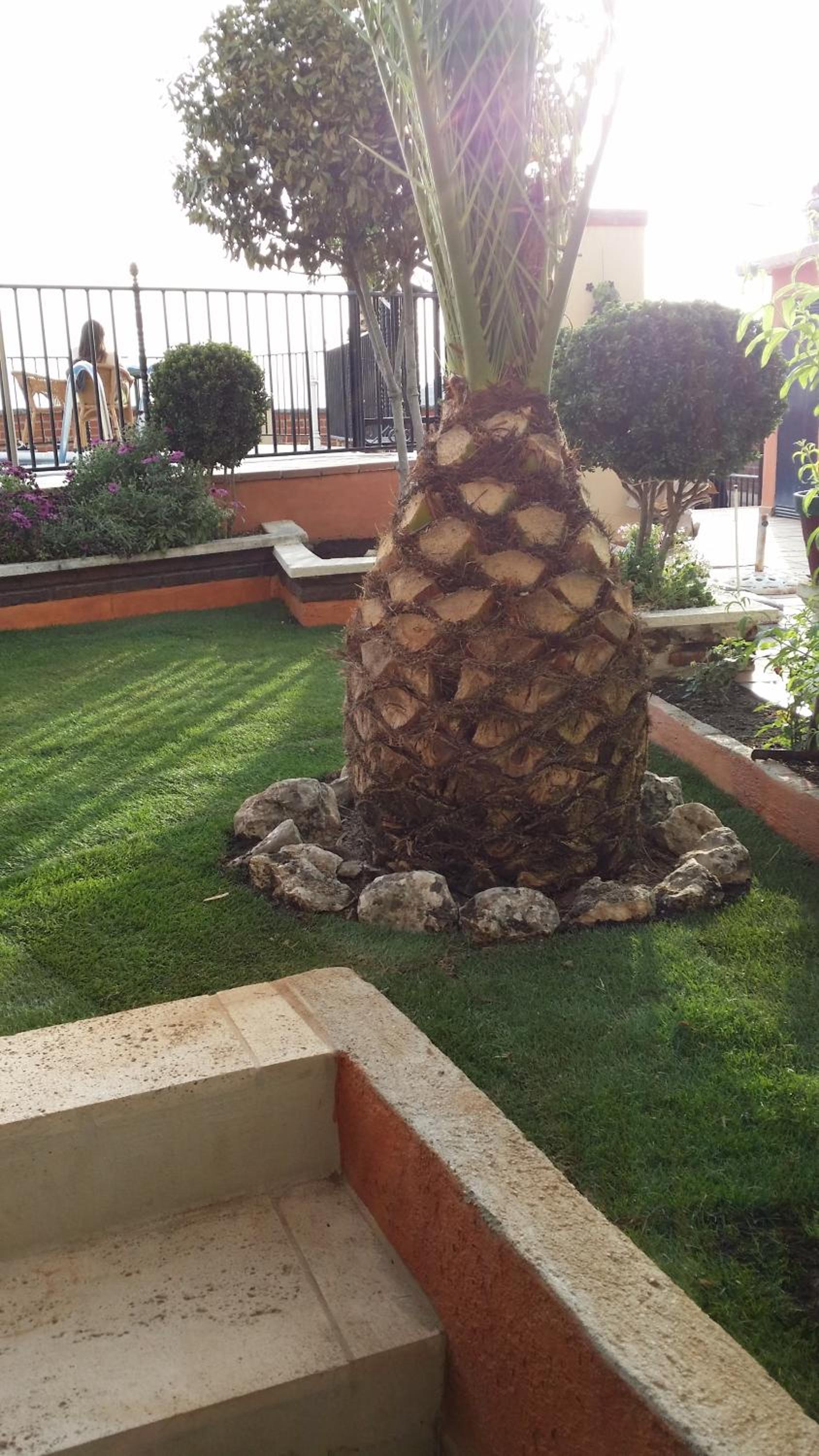 Photo 40