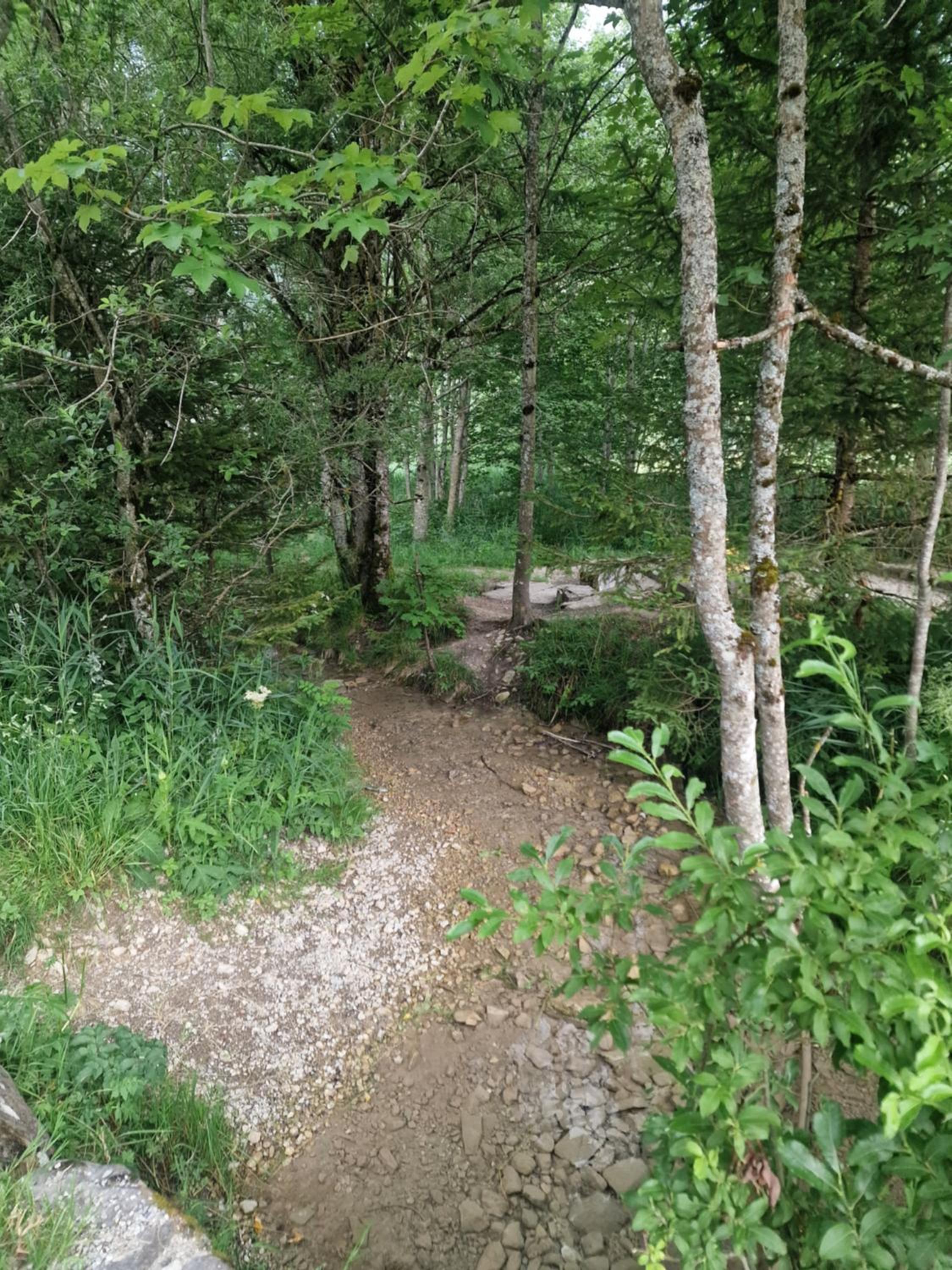 Ischwarzsee