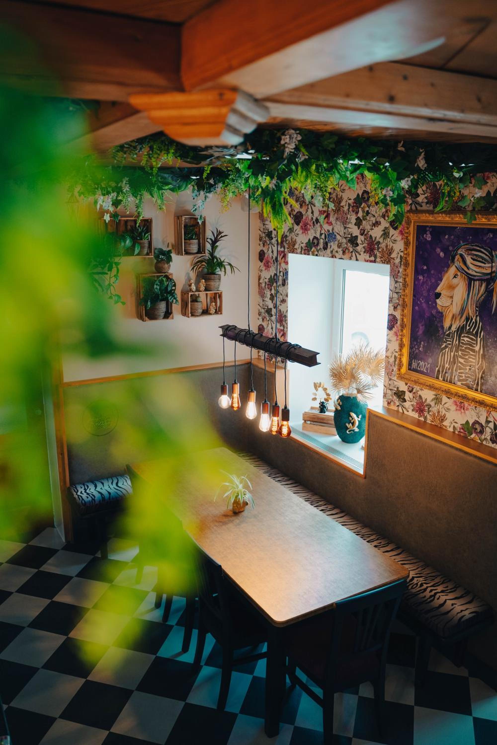 Johnys Jungle