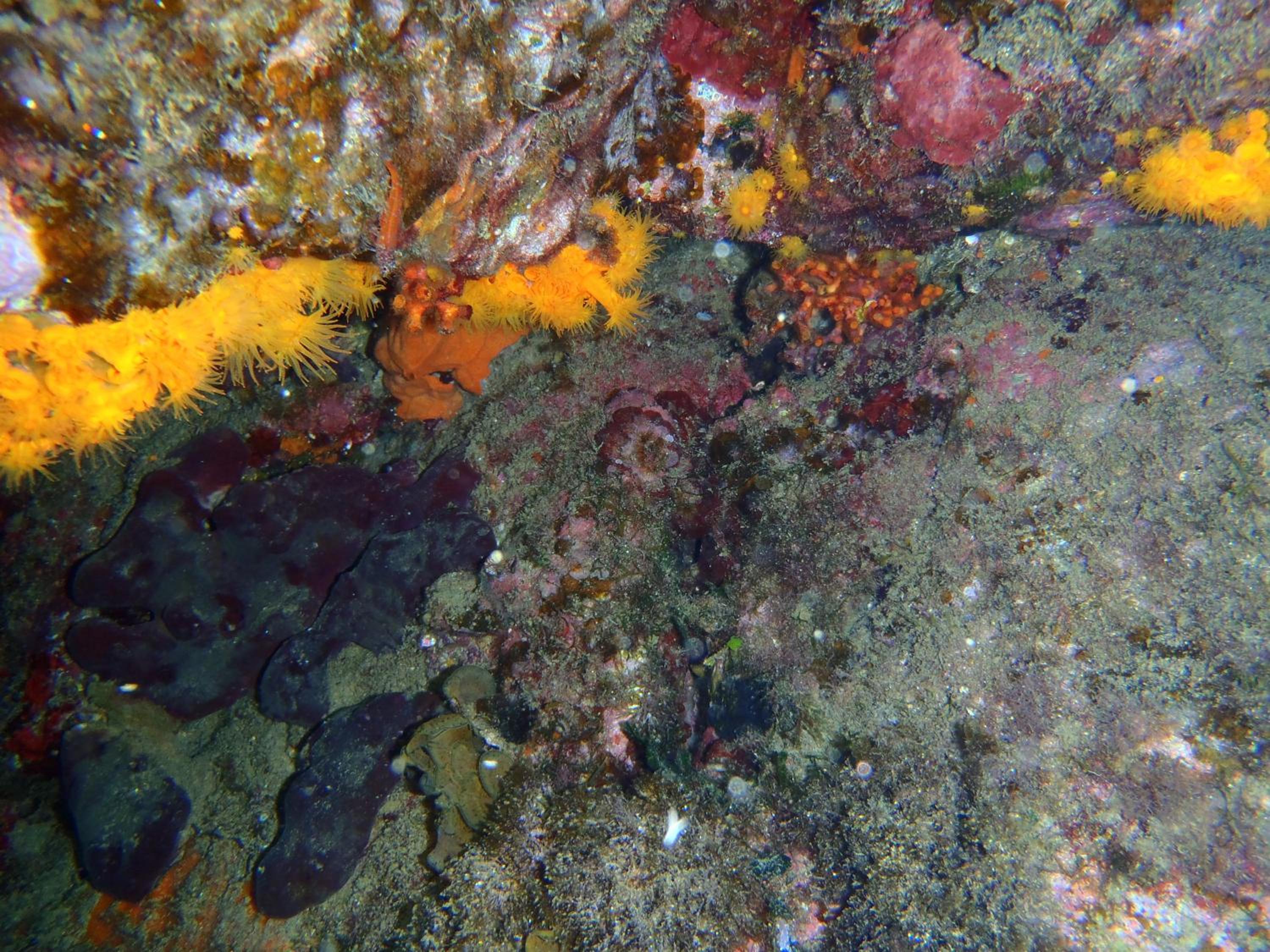 Photo 45