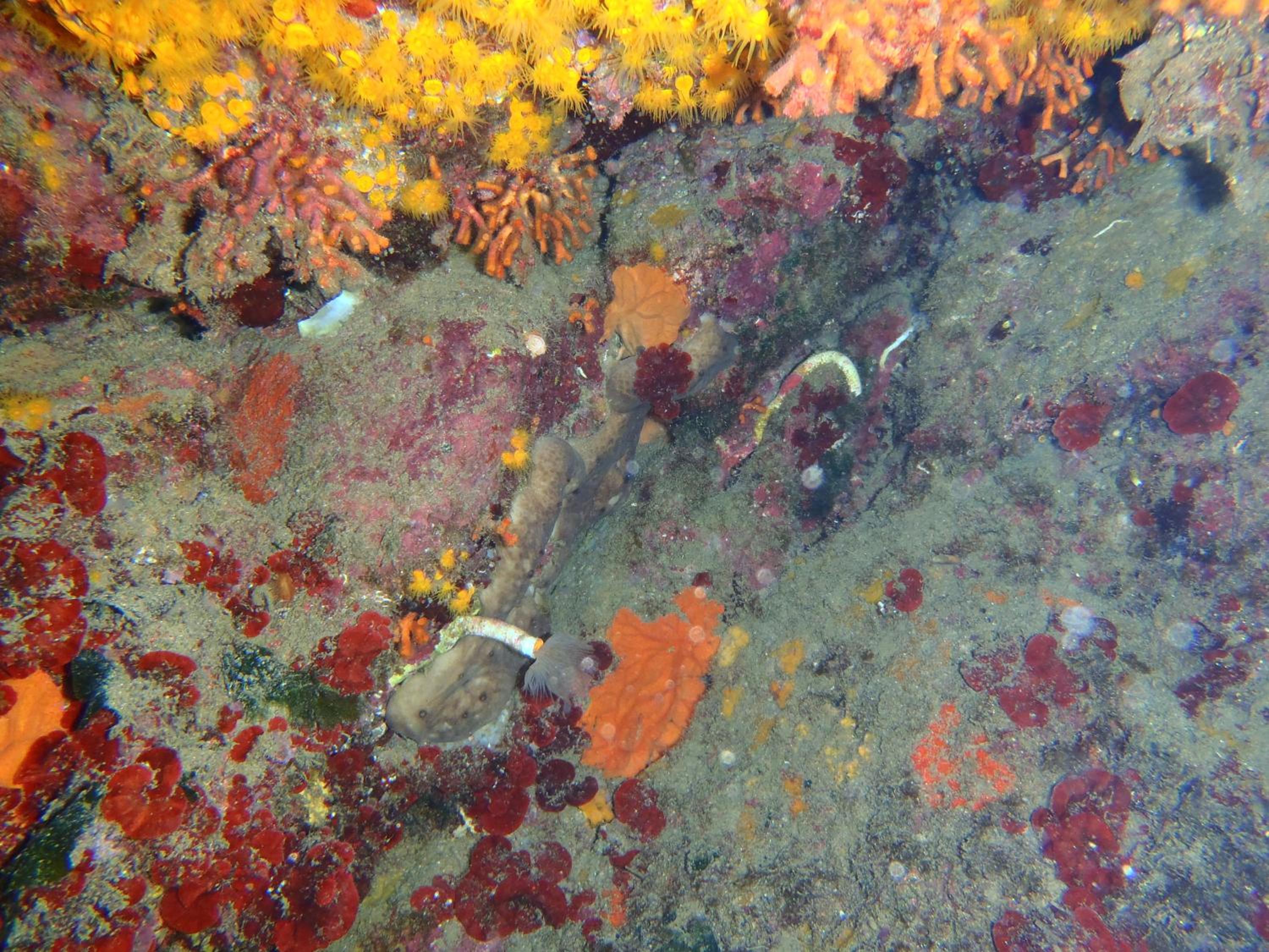 Photo 47