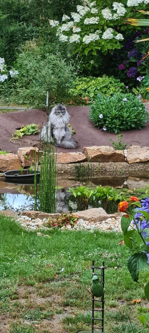 Hotel L'Oustaou du Bodo